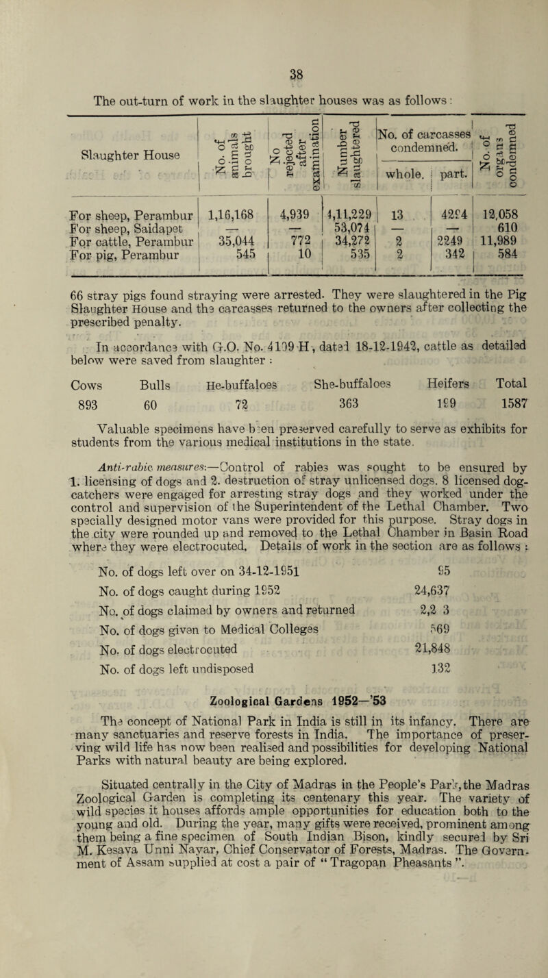 The out-turn of work in the slaughter houses was as follows: Slaughter House r * _ a •» . v.. *- v . •' - No. of animals brought No rejected after examination Number slaughtered No. of carcasses condemned. No. of organs condemned whole. part. For sheep, Perambur 1,16,168 4,939 4,11,229 13 4294 12,058 For sheep, Saidapet — — 53,074 — — 610 For cattle, Perambur 35,044 772 34,272 2 2249 11,989 For pig, Perambur 545 10 535 2 342 584 66 stray pigs found straying were arrested. They were slaughtered in the Pig Slaughter House and the carcasses returned to the owners after collecting the prescribed penalty. * r ’ .. - 1 * . • * f • t . . . In accordance with G.O. No. 4199 H , dated 18-12-1942, cattle as detailed below were saved from slaughter : Cows Bulls He-buffaloes She-buffaloes Heifers Total 893 60 72 363 199 1587 Valuable specimens have b:en preserved carefully to serve as exhibits for students from the various medical institutions in the state. Anti'rabiQ. measures-.—Control of rabies was sought to be ensured by 1. licensing of dogs and 2. destruction of stray unlicensed dogs. 8 licensed dog- catchers were engaged for arresting stray dogs and they worked under the control and supervision of the Superintendent of the Lethal Chamber. Two specially designed motor vans were provided for this purpose. Stray dogs in the city were rounded up and removed to the Lethal Chamber in Basin Road where they were electrocuted. Details of work in the section are as follows : No. of dogs left over on 34-12-1951 95 No. of dogs caught during 1952 24,637 No. of dogs claimed by owners and returned 2,2 3 No. of dogs given to Medical Colleges 569 No. of dogs electrocuted 21,848 No. of dogs left undisposed 132 Zoological Gardens 1952—’53 The concept of National Park in India is still in its infancy. There are many sanctuaries and reserve forests in India. The importance of preser¬ ving wild life has now been realised and possibilities for developing National Parks with natural beauty are being explored. Situated centrally in the City of Madras in the People’s Park,the Madras Zoological Garden is completing its centenary this year. The variety of wild species it houses affords ample opportunities for education both to the young and old. During the year, many gifts were received, prominent among them being a fine specimen of South Indian Bison, kindly secured by Sri M. Kesava Unni Nayar, Chief Conservator of Forests, Madras. The Govern¬ ment of Assam supplied at cost a pair of “ Tragopan Pheasants ”.