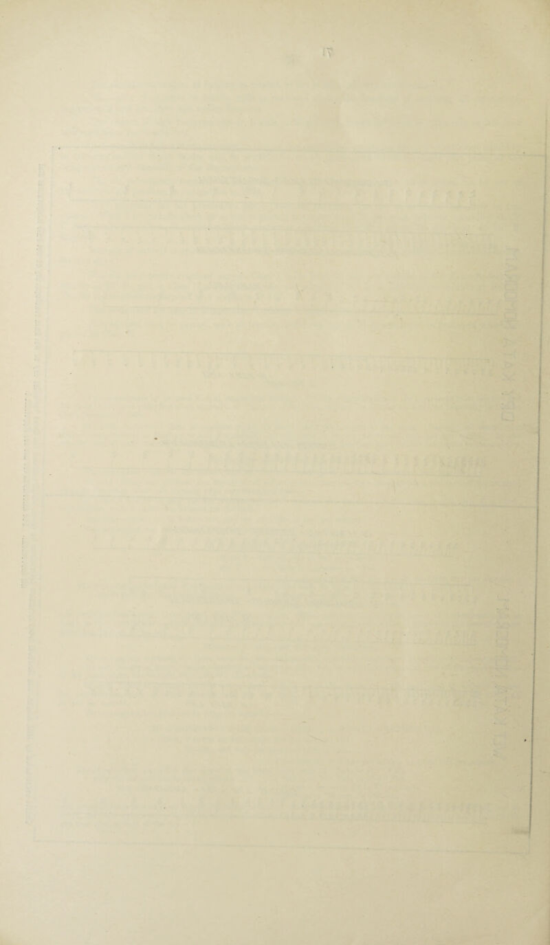 • • “ ' 1 ; Mi ■ ■