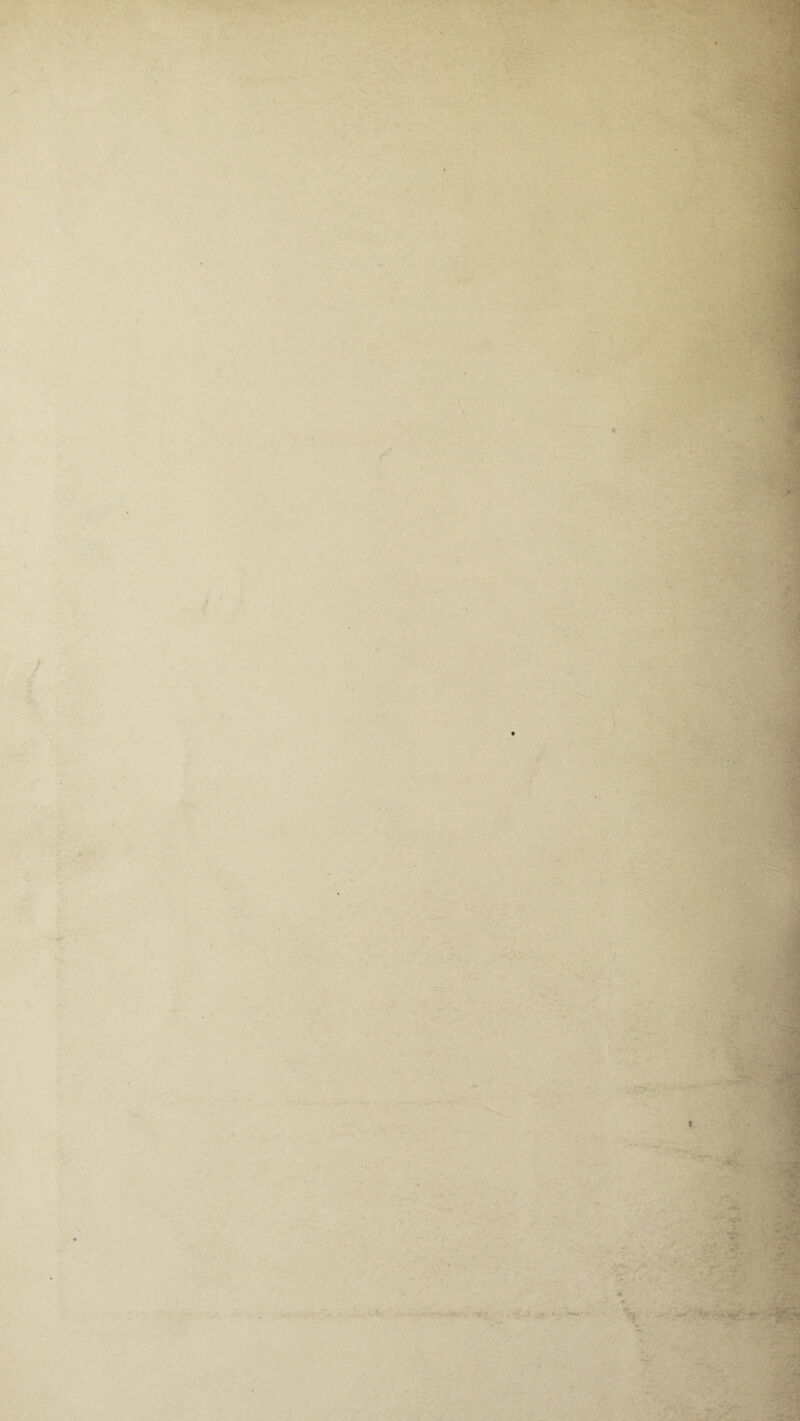 — ' w ' * . > — -V • .a