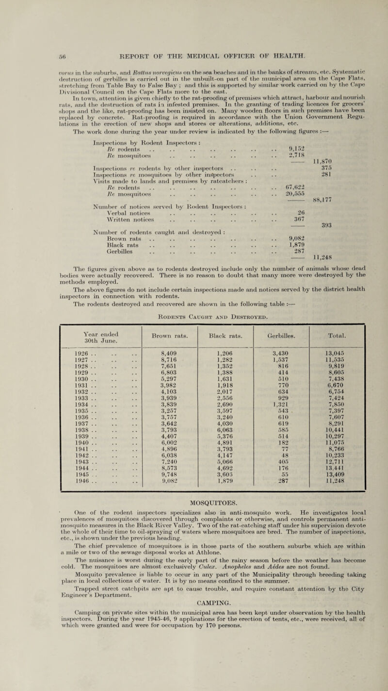 vorus in the suburbs, and Rattus norvegicus on t he sea beaches and in the banks of streams, etc. Systematic destruction of gerbilles is carried out in the unbuilt-on part of the municipal area on the Cape Flats, stretching from Table Bay to False Bay ; and this is supported by similar work carried on by the Cape Divisional Council on the Cape Flats more to the east. In town, attention is given chiefly to the rat-proofing of premises which attract, harbour and nourish rats, and the destruction of rats in infested premises. In the granting of trading licences for grocers’ shops and the like, rat-proofing has been insisted on. Many wooden floors in such premises have been replaced by concrete. Rat-proofing is required in accordance with the Union Government Regu¬ lations in the erection of new shops and stores or alterations, additions, etc. The work done during the year under review is indicated by the following figures :—- Inspections by Rodent Inspectors : Re rodents Re mosquitoes Inspections re rodents by other inspectors Inspections re mosquitoes by other inspectors Visits made to lands and premises by ratcatchers : Re rodents Re mosquitoes Number of notices served by Rodent Inspectors : Verbal notices Written notices Number of rodents caught and destroyed : Brown rats Black rats Gerbilles 9,152 2,718 11,870 376 281 67,622 20,555 88,177 26 367 393 9,082 1,879 287 11,248 The figures given above as to rodents destroyed include only the number of animals whose dead bodies were actually recovered. There is no reason to doubt that many more were destroyed by the methods employed. The above figures do not include certain inspections made and notices served by the district health inspectors in connection with rodents. The rodents destroyed and recovered are shown in the following table :— Rodents Caught and Destroyed. Year ended 30th June. Brown rats. Black rats. Gerbilles. Total. 1926 . 8,409 1,206 3,430 13,045 1927 . 8,716 1,282 1,537 11,535 1928 . 7,651 1,352 816 9,819 1929 . 6,803 1,388 414 8.605 1930 . 5,297 1,631 510 7.438 1931. 3,982 1,918 770 6,670 1932 . 4,103 2,017 634 6,754 1933 . 3,939 2,556 929 7,424 1934 . 3,839 2,690 1,321 7,850 1935 . 3,257 3,597 543 7,397 1936 . 3,757 3,240 610 7,607 1937 . 3,642 4,030 619 8,291 1938 . 3,793 6,063 585 10,441 1939 . 4,407 5,376 514 10,297 1940 . 6,002 4,891 182 11,075 1941. 4,896 3,793 77 8,766 1942 . 6,038 4,147 48 10,233 1943 . 7,240 5,066 405 12,711 1944 . 8,573 4,692 176 13.441 1945 . 9,748 3,603 55 13,409 1946 . 9,082 1,879 287 11,248 MOSQUITOES. One of the rodent inspectors specializes also in anti-mosquito work. He investigates local prevalences of mosquitoes discovered through complaints or otherwise, and controls permanent anti¬ mosquito measures in the Black River Valley. Two of the rat-catching staff under his supervision devote the whole of their time to oil-spraying of waters where mosquitoes are bred. The number of inspections, etc., is shown under the previous heading. The chief prevalence of mosquitoes is in those parts of the southern suburbs which are within a mile or two of the sewage disposal works at Athlone. The nuisance is worst during the early part of the rainy season before the weather has become cold. The mosquitoes are almost exclusively Culex. Anopheles and Aedes are not found. Mosquito prevalence is liable to occur in any part of the Municipality through breeding taking place in local collections of water. It is by no means confined to the summer. Trapped street catchpits are apt to cause trouble, and require constant attention by the City Engineer’s Department. CAMPING. Camping on private sites within the municipal area has been kept under observation by the health inspectors. During the year 1945-46, 9 applications for the erection of tents, etc., were received, all of which were granted and were for occupation by 170 persons.