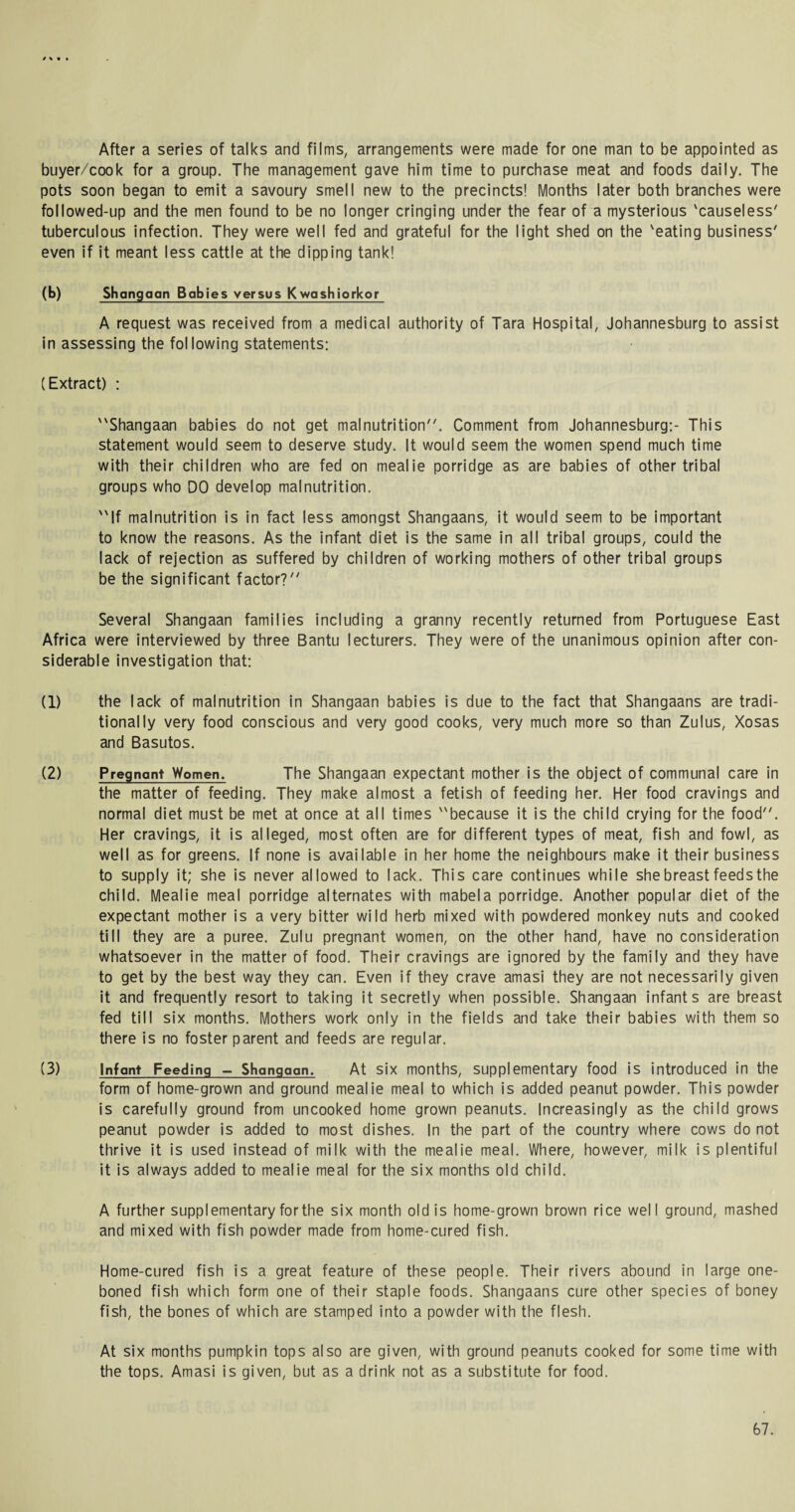 After a series of talks and films, arrangements were made for one man to be appointed as buyer/cook for a group. The management gave him time to purchase meat and foods daily. The pots soon began to emit a savoury smell new to the precincts! Months later both branches were followed-up and the men found to be no longer cringing under the fear of a mysterious 'causeless' tuberculous infection. They were well fed and grateful for the light shed on the 'eating business' even if it meant less cattle at the dipping tank! (b) Shangaan Babies versus Kwashiorkor A request was received from a medical authority of Tara Hospital, Johannesburg to assist in assessing the following statements: (Extract) : Shangaan babies do not get malnutrition. Comment from Johannesburg:- This statement would seem to deserve study. It would seem the women spend much time with their children who are fed on mealie porridge as are babies of other tribal groups who DO develop malnutrition. If malnutrition is in fact less amongst Shangaans, it would seem to be important to know the reasons. As the infant diet is the same in all tribal groups, could the lack of rejection as suffered by children of working mothers of other tribal groups be the significant factor? Several Shangaan families including a granny recently returned from Portuguese East Africa were interviewed by three Bantu lecturers. They were of the unanimous opinion after con¬ siderable investigation that: (1) the lack of malnutrition in Shangaan babies is due to the fact that Shangaans are tradi¬ tionally very food conscious and very good cooks, very much more so than Zulus, Xosas and Basutos. (2) Pregnant Women. The Shangaan expectant mother is the object of communal care in the matter of feeding. They make almost a fetish of feeding her. Her food cravings and normal diet must be met at once at all times because it is the child crying for the food. Her cravings, it is alleged, most often are for different types of meat, fish and fowl, as well as for greens. If none is available in her home the neighbours make it their business to supply it; she is never allowed to lack. This care continues while she breast feeds the child. Mealie meal porridge alternates with mabela porridge. Another popular diet of the expectant mother is a very bitter wild herb mixed with powdered monkey nuts and cooked till they are a puree. Zulu pregnant women, on the other hand, have no consideration whatsoever in the matter of food. Their cravings are ignored by the family and they have to get by the best way they can. Even if they crave amasi they are not necessarily given it and frequently resort to taking it secretly when possible. Shangaan infants are breast fed till six months. Mothers work only in the fields and take their babies with them so there is no foster parent and feeds are regular. (3) Infant Feeding - Shangaan. At six months, supplementary food is introduced in the form of home-grown and ground mealie meal to which is added peanut powder. This powder is carefully ground from uncooked home grown peanuts. Increasingly as the child grows peanut powder is added to most dishes. In the part of the country where cows do not thrive it is used instead of milk with the mealie meal. Where, however, milk is plentiful it is always added to mealie meal for the six months old child. A further supplementary for the six month old is home-grown brown rice well ground, mashed and mixed with fish powder made from home-cured fish. Home-cured fish is a great feature of these people. Their rivers abound in large one¬ boned fish which form one of their staple foods. Shangaans cure other species of boney fish, the bones of which are stamped into a powder with the flesh. At six months pumpkin tops also are given, with ground peanuts cooked for some time with the tops. Amasi is given, but as a drink not as a substitute for food.