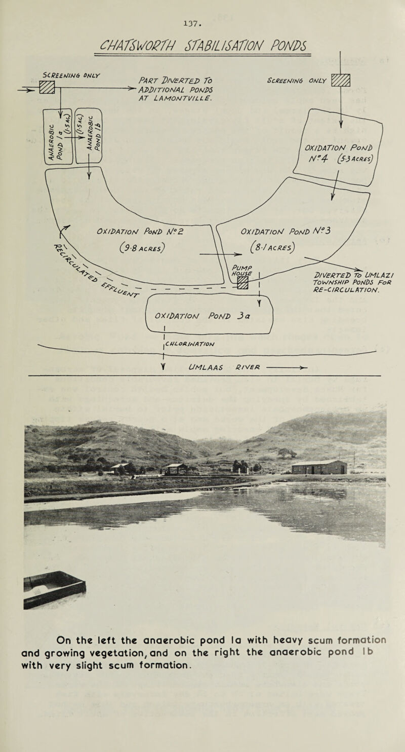 PNATSWOPTN STABILISATION PONDS Y L/mlaas g/v£a -> On the left the anaerobic pond la with heavy scum formation and growing vegetation, and on the right the anaerobic pond ib with very slight scum formation.