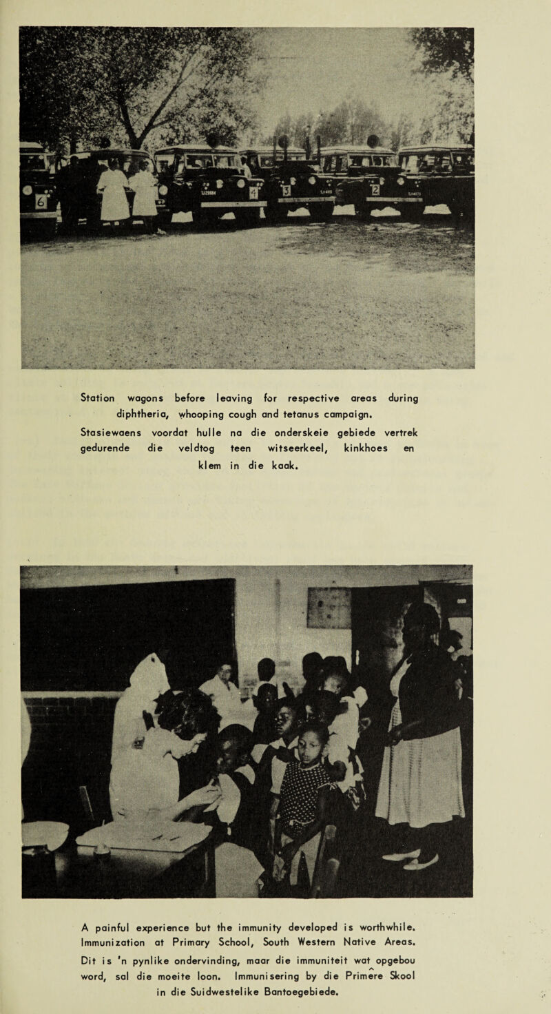 Station wagons before leaving for respective areas during diphtheria, whooping cough and tetanus campaign, Stasiewaens voordat hulle na die onderskeie gebiede vertrek gedurende die veldtog teen witseerkeel, kinkhoes en klem in die kaak. A painful experience but the immunity developed is worthwhile. Immunization at Primary School, South Western Native Areas. Dit is 'n pynlike ondervinding, maar die immuniteit wat opgebou A word, sal die moeite loon. Immunisering by die Primere Skool in die Suidwestelike Bantoegebiede.