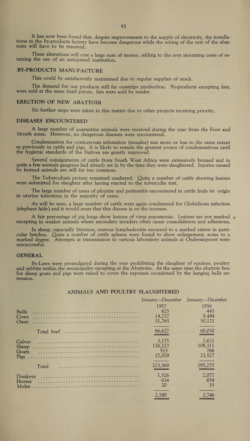 It has now been found that, despite improvements to the supply of electricity, the installa¬ tions in the by-products factory have become dangerous while the wiring of the rest of the abat¬ toirs will have to be renewed. These alterations will cost a large sum of money, adding to the ever mounting costs of re¬ taining the use of an antiquated institution. BY-PRODUCTS MANUFACTURE This could be satisfactorily maintained due to regular supplies of stock. The demand for our products still far outstrips production. By-products excepting fats, were sold at the same fixed prices; fats were sold by tender. ERECTION OF NEW ABATTOIR No further steps were taken in this matter due to other projects receiving priority. DISEASES ENCOUNTERED A large number of quarantine animals were received during the year from the Foot and Mouth areas. However, no dangerous diseases were encountered. Condemnation for cysticercosis infestation (measles) was more or less to the same extent as previously in cattle and pigs. It is likely to remain the greatest source of condemnations until the hygienic standards of the Natives are greatly improved. Several consignments of cattle from South West Africa were extensively bruised and in quite a few animals gangrene had already set in by the time they were slaughtered. Injuries caused by horned animals are still far too common. The Tuberculosis picture remained unaltered. Quite a number of cattle showing lesions were submitted for slaughter after having reacted to the tuberculin test. The large number of cases of pleurisy and peritonitis encountered in cattle finds its origin in uterine infections in the majority of cases. As will be seen, a large number of cattle were again condemned for Globidiosis infection (elephant hide) and it would seem that this disease is on the increase. A fair percentage of pig lungs show lesions of virus pneumonia. Lesions are not marked « excepting in weaker animals where secondary invaders often cause consolidation and adhesions. In sheep, especially Merinos, caseous lymphadenitis occurred to a marked extent in parti¬ cular batches. Quite a number of cattle spleens were found to show enlargement, some to a marked degree. Attempts at transmission to various laboratory animals at Onderstepoort were unsuccessful. GENERAL By-Laws were promulgated during the year prohibiting the slaughter of equines, poultry and rabbits within the municipality excepting at the Abattoirs. At the same time the abattoir fees for sheep goats and pigs were raised to cover the expenses occasioned by the hanging halls ex¬ tension. ANIMALS AND POULTRY SLAUGHTERED Bulls Cows Oxen Total beef Calves Sheep Goats Pigs . Total Donkeys Horses Mules . January—December January—December 1957 1956 625 445 14,237 9,484 51,765 50,121 66,627 60,050 3,175 2,621 126,223 108,311 515 766 27,029 23,527 223,569 195,275 1,526 2,077 634 654 20 15 2,180 2,746