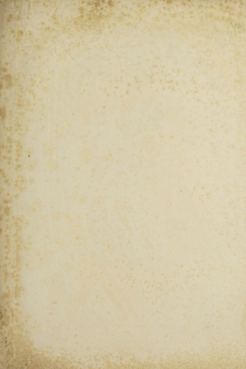 r> ' * . fm, ■ : •*’ t* •• r,w : ■ ^ * 4 > r - \ r . * • # *►** *2 > ft r. •> . *. ■ . . D 'VMM. . ♦ A ♦ •* '• * 'v. : / *f r- 4 *r >■ -