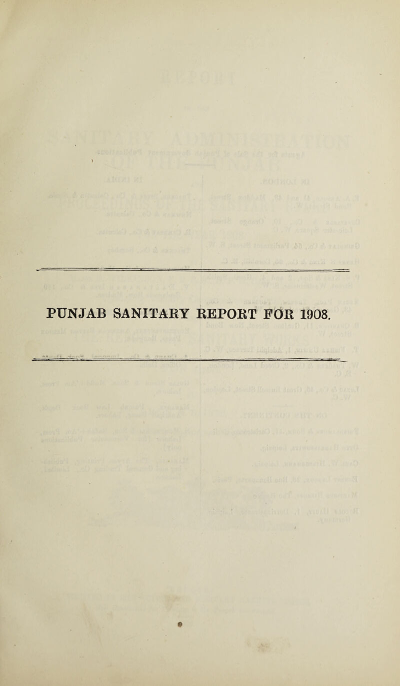 PUNJAB SANITARY REPORT FOR 1908.