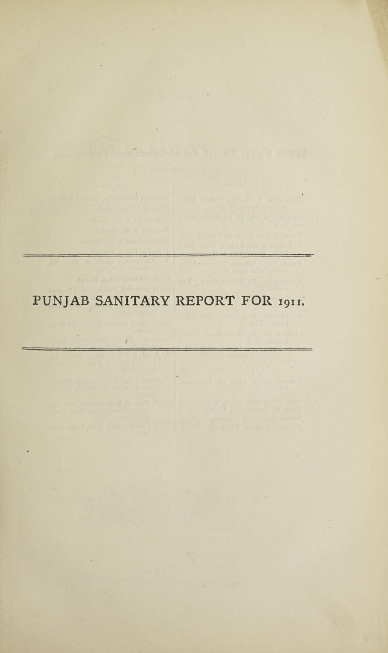 PUNJAB SANITARY REPORT FOR 1911