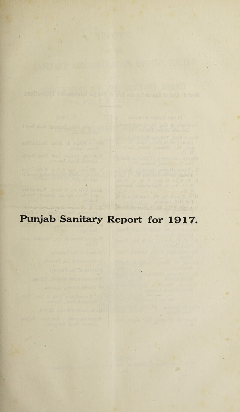 Punjab Sanitary Report for 1917.