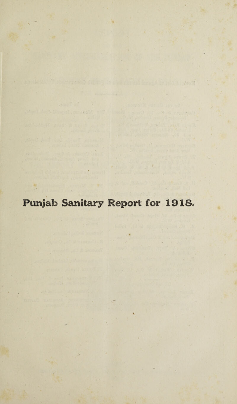 Punjab Sanitary Report for 19IS. %