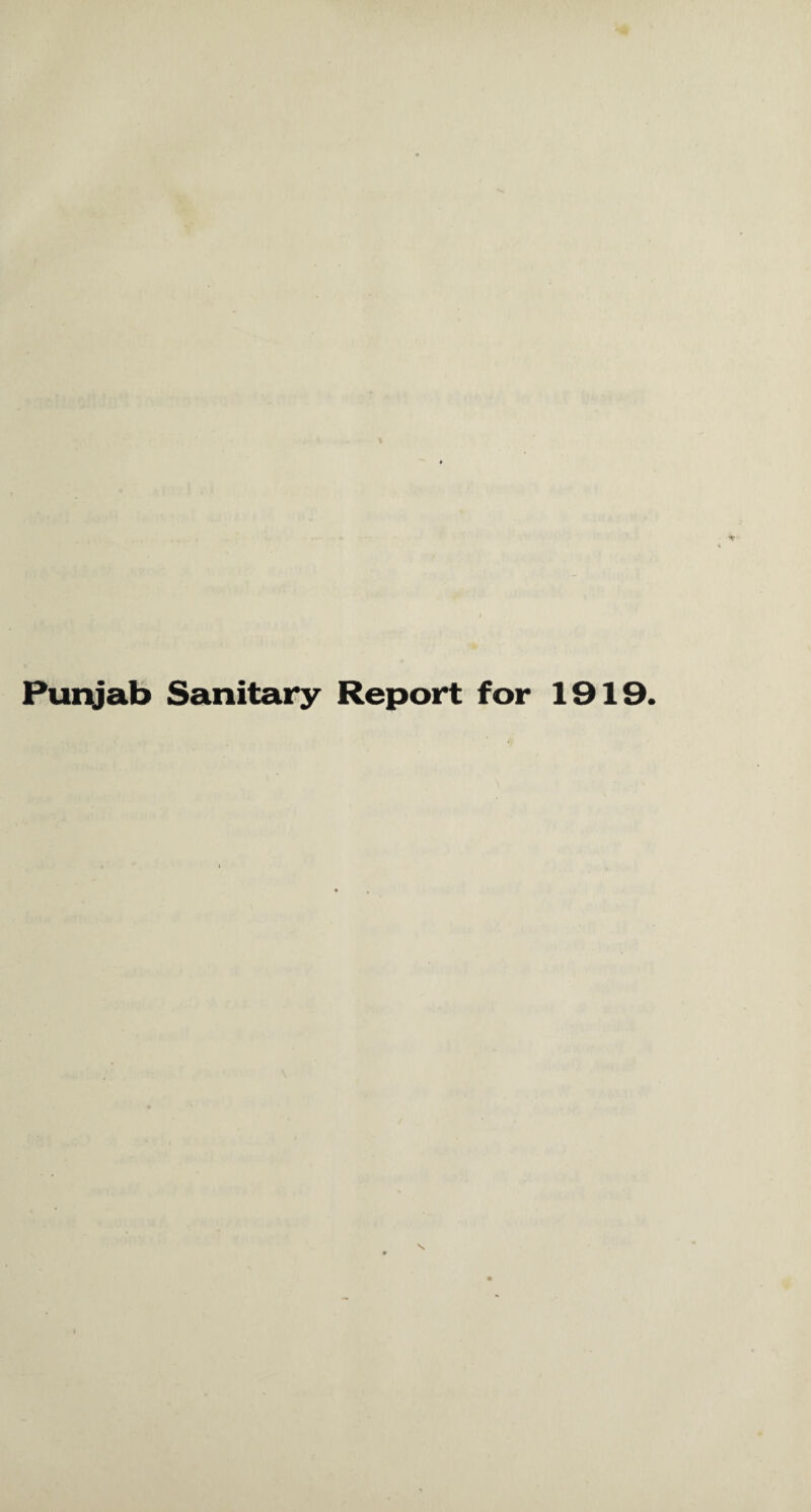 Punjab Sanitary Report for 1919.