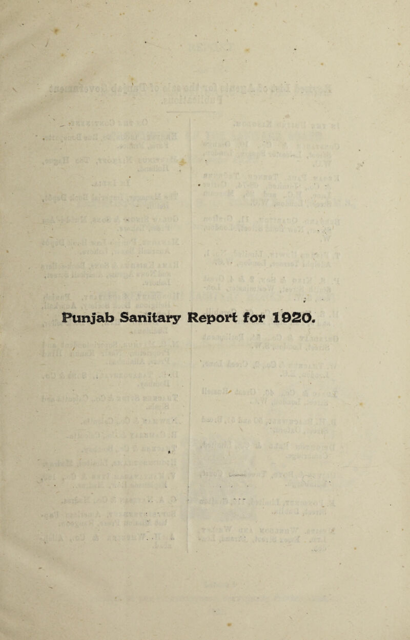 Punjab Sanitary Report for 1020.