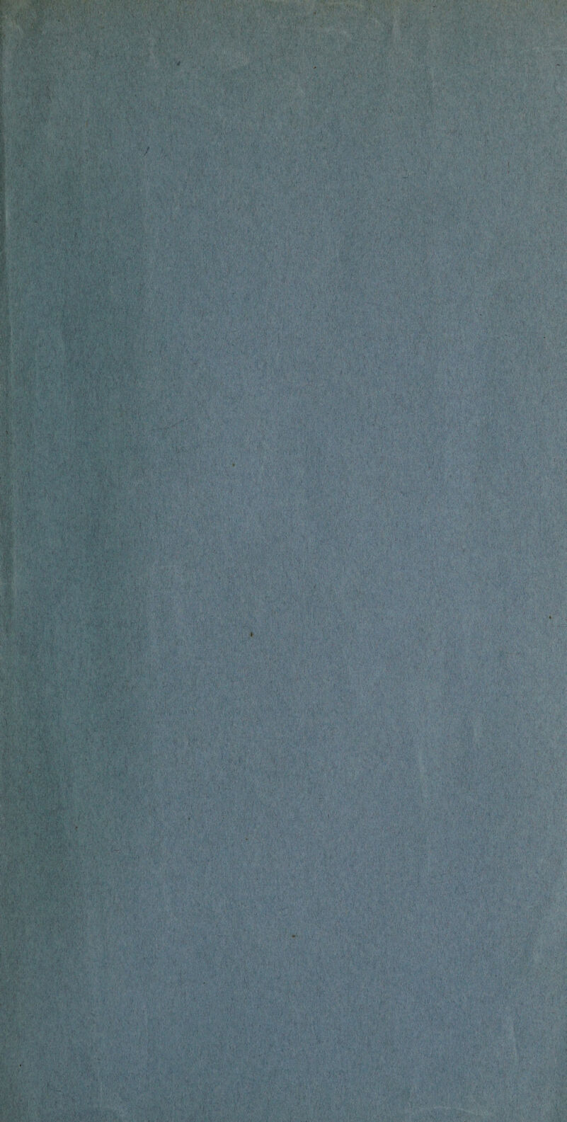 ‘X'M‘ : .. . - -V ■ ' I .'a' ■ i - ■$*&&&. m .■•'v,, jw&v’ H.’ ^ baK> ' : X:,-v ' 1'Ks i ' ::■ : :■ : . ^ ■ • >■- ■ £ X \ \l< X'tyJv. ■ ' : -/ AA V. - ■ ■ ■ Sw? MW* . -t, > ’ ‘W J*-' •'*'•■*' •-•. .'*:»*• » .s • i ■mm ■ ' -i - ■.#:■& .y*--- '-w.:- 1 r 'v: •,,■•• • • v -A. A.; ; ■•.•’• . # -i1 '< ;3 ■r;- r'' ’ ft • • ' ■•?. *WVmjg • •. • :4. • '' * ■'. V • : .V! :••• . ■ • f\ ' V Ciu * =%*/V • •V. ».•'• .>£• Mi--; i.». ?!•« n ;:••• .fi. ■ -i ■ ,;V. ; { w» rv'-K « .* X'.'.V - >' U* ' ,v: /V-Sjf. ft; :*•' /Vs :x :;. ? ;•' ,i:S ■ 1 r ■< > i :V-V' Jv>- au>« Kri^> 1 r, . .*< ’ i*v ■ : •!.• iS-i'faKX- f.’1- ri :. V r. ‘ V- :.;r ^Sjak; .V-' j- : .••• \IV ■'I ^ •1 • '.i? ■ >;i *•  V ■.' ■ , ■ A • V. \ ,' ; <ii - v • 1' ■' 4V. ; . ... ■■■ V I •' ■' ■ ■ ■ •-'• - ' ,.U- ■ ' V. ' Wih m~ u ' , •;*. • M ■: • a v, is. t •.. •. •/■. ,ut:, ••; .,VU. V<. V ■• '■■'■ ••?.,■•* ■• r ‘.'T . ;-r:■•■■■:.; -Vf. : ■ • *i;Mv • ’  n •-' cWsv’1- !' V^: ; •« •!