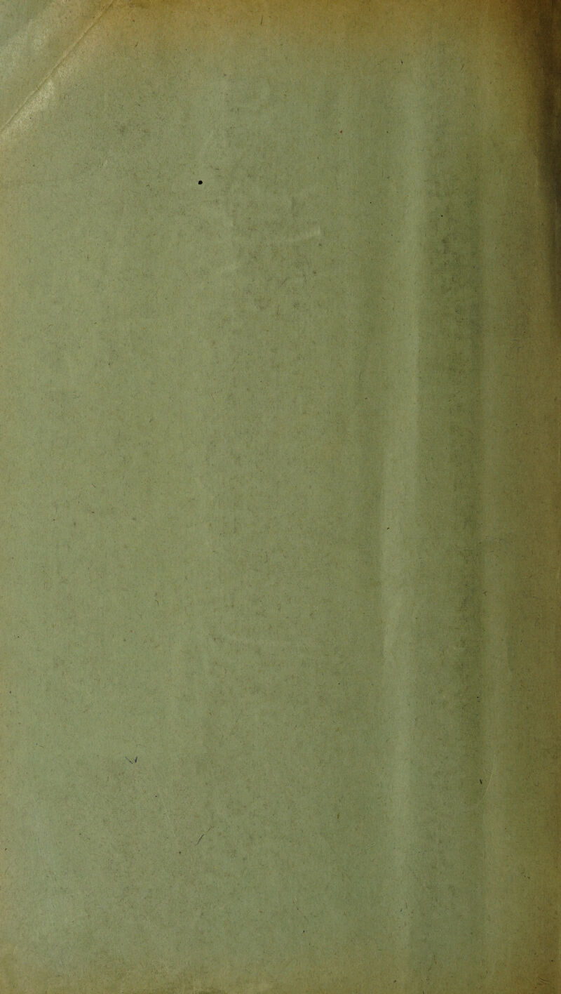 ■ :4>% y -V ■ ') u . N ' •* . & s •A;