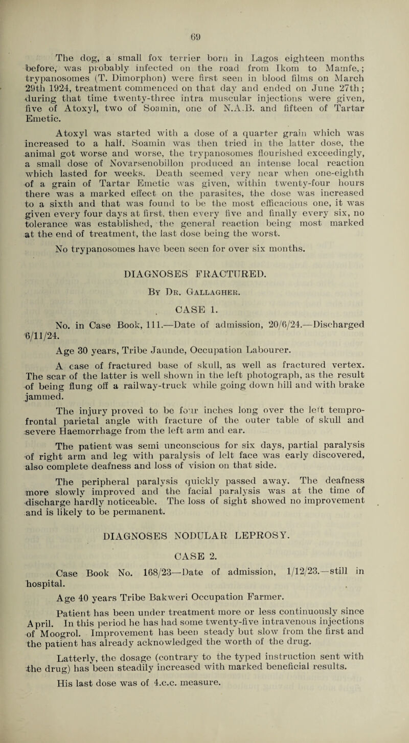 The dog, a small fox terrier born in Lagos eighteen months before, was probably infected on the road from Ikom to Mamfe,; trypanosomes (T. Dimorphon) were first seen in blood films on March 29th 1924, treatment commenced on that day and ended on June 27th ; during that time twenty-three intra muscular injections were given, five of Atoxyl, two of Soamin, one of N.A.B. and fifteen of Tartar Emetic. Atoxyl was started with a dose of a quarter grain which was increased to a half, 8oamin was then tried in the latter dose, the animal got worse and worse, the trypanosomes flourished exceedingly, a small dose of Novarsenobiflon produced an intense local reaction which lasted for weeks. Death seemed very near when one-eighth of a grain of Tartar Emetic was given, within twenty-four hours there was a marked effect on the parasites, the dose was increased to a sixth and that was found to be the most efficacious one, it was given every four days at first, tlien every five and finally every six, no tolerance was established, the general reaction being most marked at the end of treatment, the last dose being the worst. No trypanosomes have been seen for over six months. DIAGNOSES FRACTURED. By Dr. Gallagher. CASE 1. No. in Case Book, 111.—Date of admission, 20/6/24.—Discharged 6/11/24. Age 30 years. Tribe Jaunde, Occupation Labourer. A case of fractured base of skull, as well as fractured vertex. The scar of the latter is well shown in the left photograph, as the result of being flung off a railway-truck while going down hill and with brake jammed. The injury proved to be four inches long over the Jett tempro- frontal parietal angle with fracture of the outer table of skull and severe Haemorrhage from the left arm and ear. The patient was semi unconscious for six days, partial paralysis of right arm and leg with paralysis of lelt face was early discovered, also complete deafness and loss of vision on that side. The peripheral paralysis quickly passed away. The deafness more slowly improved and the facial paralysis was at the time of discharge hardly noticeable. The loss of sight showed no improvement and is likely to be permanent. DIAGNOSES NODULAR LEPROSY. CASE 2. Case Book No. 168/23—Date of admission, 1/12/23.—still in hospital. Age 40 years Tribe Bakweri Occupation Farmer. Patient has been under treatment more or less continuously since April. In this period he has had some twenty-five intravenous injections of Moogrol. Improvement has been steady but slow from the first and the patient has already acknowledged the worth of the drug. Latterly, the dosage (contrary to the typed instruction sent with the drug) has been steadily increased with marked beneficial results. His last dose was of 4.c.c. measure.