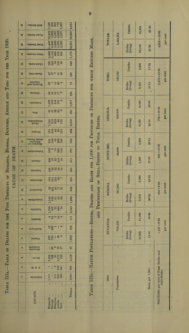 Table IIIa.—Table of Deaths for the Five Districts of Buganda, Busoga, Bunyoro, Ankole and Toro for the Year 1920. CAUSE OF DEATH. cm •sq^m-iros co co cc X IO ^ l> H P t> ^ rH rH 4,815 a •sq!)JTa fBCfOX 12,205 9,005 1,597 0,529 3,167 32,563 a •sq^oa moj 05 O C5 CO O *X> CC' o cc CO P CD O 79 -t-~ co oT S csT 32,351 H* CM 02 CM 02 CO CO ■SKMm'BO .taqiJO i § 2 §8 ” So | cm c<T 7,379 a •qHJiq-pixqO 02 m o o 20 O) Tjl ic; lO 02 t—1 T—1 ft 640 cm CM ,8^iq-85['BU§ fc— l>* rH CO m —f CM 138 CM •s8TjnCai pm3 spano^w CO — CM S •esaosqy CM -H 00 X^HH 165 05 rH 00 00 ^ -H CO O to O CO t-H^ xO H h T—1 1,917 00 rH •s??a H N CO lO P 05 XO CO CO IQ i CM CM fc- rH •s'jnt'etdraoo isaqo CO CO CO ^ xo H r- X P H xq 00 CO rH tH 3,258 rH •^8dO.TQ H XO CM P O X O Hi CO H ri rH rH 432 i£5 rH (.T0A9j[ oqtmqig xo oAaiqnpi rH O CM 05 CC CM CO CC O 00 CO rH CM tH 910 rH •sisoinoasqnjj CM CO 05 CO CO 05 l— GO — CO CO rH 30 D- I CO rH *J80U'BQ 00 CM CC CO OJ tH CO -t* »C CO rH fill cq rH •jisoadeq CC O CM CO H*1 CM 05 CO CO H rH O CO rH rH [ •'BQDq.IJC'BIQ CC H Hi CO l> CC1 H CO 00 rH iO H 918 O rH 1C r- O t> H xo CO HI P CM 503 05 •■Baoqj.xonoo CM CM Cl Hi O 'Hi 00 CO CO CO rH 1,480 00 •sqiqdAs t> H xo Hi 05 o 05 00 t- rH H XO rH 2,349 t- *S8XS'B8JV xO CM CO xO CO t— rH 101 CC •xod-q'BOTS CO CO rH 1 CM rH CO 1 CM 302 iO •engBia t- »0 1 GO CM CM CM | 05 CM b- 1,052 H< •ssensiois guidsais 1 X(NOl> | CM rH rH 57 CO TH -Hi »C CM CO CO CM 05 »C CM CM CO rH CO rH* 00 »c »c xo ! CM •w 'S o rH | CM 00 O 1 — 'Hi CO CO 661 - •'Bzaaupuj -+■ | N7I PI | HOlO ft- rH GO CM rH »c 'Hi 1 cq Pi . COUNTY. Buganda... Busoga ... Bunyoro ... Ankole ... Toro Totals ... H Q < GO Ph P H P cq w o t-H W £ Ph o p co H O ft Ph H GO GO P Q P i—i t> O Ph Ph « o p o O O Ph P P 50 P H H « Q !Z <1 GO W Eh P P m W EH p HH P GO P o ft Eh C P P P O o. p > I—I Eh £ M P P P C co Eh P ft P P < Eh O EH o Eh CO H EH p I—I p I p p I—I Eh CO P O P P Eh £ P O P P P Q P < CO P < EH O EH O P O EH p p O P <1 O P o pH p p m «! Q P hJ O P P ft »o »o CM O CM Deaths 32,351 CM CM rH CM Births (living) CO »c om CO co CO rH CM Deaths 2,260 CM rH 5 P CO rH J-* > l’o fflS CO  1 • 1 1 GO 00 >c rH oo ft ft c CD O tj ID ft O o o o' o CM 00 00 t— +3 <D O S4 D ft cc p CO CM CO co c3 CM Q CO CM cc XO b rH II CO 2'bS ft 2 CM cc -h b- .2 > •Hi fQE CO CM ft S3 D O *4 D ft CM 05 CO p 44 c3 D P 02 o o l>f >o 00 CM p §> -+3 .2 > t- 05 XO CO cm CO CO XO 05 H-3 p © o u © Pj <1 o o CQ D PQ xo 'Hi cq tH CM co rH CM 05 b- Deaths 6,980 00 rH CO CM 2 XO CO 'S CO H > o CO mib C5 CO cc r~* 05 00 '-P CO CM c3 © « H 6o —H rH rH 2 w> 5 2 .2 > iO CO CM iO o 05 p Ph O Ph o o cc © -p> c3 Ph cc -HP> p © © J-H © Ph CO CM CO CM P © o Ph © Ph n3 rj c3 cc -p> u s o EH. *4-1 O * PQ © 7Z1 © -S Sh CG © PP CO