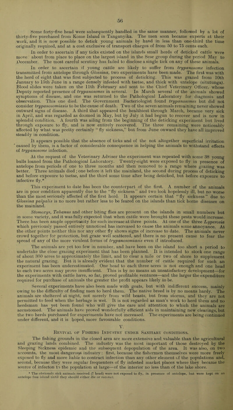 Home forty-five head were subsequently handled in the same manner, followed by a lot of thirty-five purchased from Koine Island in Tanganyika. The men soon became experts at their work, and it is now possible to detick young animals by hand in less than one-third the time originally required, and at a cost exclusive of transport charges of from 50 to 75 cents each. In order to ascertain if any ticks existed on the islands small herds of deticked cattle were move about from place to place on the largest island in the Sese group during the period May to December. The most careful scrutiny has failed to disclose a single tick on any of these animals. In order to ascertain if young cattle are likely to suffer from trypanosome infection transmitted from antelope through Glossina, two experiments have been made. The first was with the herd of eight that was first subjected to process of deticking. This was grazed from 10th January to 15th June in a range densely infested with tsetse, and thick with antelope (situtunga). Blood slides were taken on the 11th February and sent to the Chief Veterinary Officer, whose Deputy reported presence of trypanosomes in several. In March several of the animals showed symptoms of disease, and one was returned to the Pathological Laboratory for diagnosis and observation. This one died. The Government Bacteriologist found trypanosomes but did not consider trypanosomiasis to be the cause of death. Two of the seven animals remaining never showed outward signs of disease. A third that appeared the healthiest through March, became very sick in April, and was regarded as doomed in May, but by July it had begun to recover and is now in splendid condition. A fourth was ailing from the beginning of the deticking experiment but lived through exposure to fly, and is now entirely recovered. The three remaining were noticeably affected by what was pretty certainly “fly sickness,” but from June onward they have all improved steadily in condition. It appears possible that the absence of ticks and of the not altogether superficial irritation ' caused by them, is a factor of considerable consequence in helping the animals to withstand effects of trypanosome infection. At the request of the Veterinary Adviser the experiment was repeated with some 38 young bulls loaned from the Pathological Laboratory. Twenty-eight were exposed to fly in presence of antelope from periods of one to three months and then removed to a range where grazing was better. Three animals died ; one before it left the mainland, the second during process of deticking and before exposure to tsetse, and the third some time after being deticked, but before exposure to infective fly.* This experiment to date has been the counterpart of the first. A number of the animals are in poor condition apparently due to the “fly sickness” and two look hopelessly ill, but no worse than the most seriously affected of the first herd- It appears certain that “fly sickness” due to Glossina palpalis is no more but rather less to be feared on the islands than tick borne diseases on the mainland. Stomoxys, Tabanus and other biting flies are present on the islands in small numbers but in some variety, and it was fully expected that when cattle were brought these pests would increase. There has been ample opportunity for such increase at three points. At one of the three Lyperosia which previously passed entirely unnoticed has increased to cause the animals some annoyance. At the other points neither this nor any other fly shows signs of increase to date. The animals never crowd together for protection, but graze well scattered, and there is no present cause to fear the spread of any of the more virulent forms of trypanosomiasis even if introduced. The animals are yet too few in number, and have been on the island too short a period to undertake the close grazing experiment that has been planned. It is intended to stock one range of about 300 acres to approximately the limit, and to clear a mile or two of shore to supplement the natural grazing. But it is already evident that the number of cattle required for such an experiment has been underestimated. One head to each three acres is not enough and one head to each two acres may prove insufficient. This is by no means an unsatisfactory development—for the experiments with cattle have, so far, proved profitable ventures—and the larger the expenditure required for purchase of animals the greater the profit appears likely to be. Several experiments have also been made with goats, but with indifferent success, mainly owing to the difficulty of finding men to herd them. The native breed is by no means hardy. The animals are sheltered at night, not merely from wild beasts, but from storms, and they are not permitted to feed when the herbage is wet. It is not regarded as man’s work to herd them and no herdsman has yet been found who will give the care and attention to which the animals are accustomed. The animals have proved wonderfully efficient aids in maintaining new clearings, but the two herds purchased for experiments have not increased. The experiments are being continued under different, and it is fioped, more favourable conditions. V. Kevival of Fishing Industry under Sanitary conditions. The fishing grounds in the closed area are more extensive and valuable than the agricultural and grazing lands combined. The industry wars the most important of those destroyed by the Sleeping Sickness epidemic and the subsequent depopulation of the area. It was also, on two accounts, the most dangerous industry : first, because the fishermen themselves were more freely exposed to fly and more liable to contract infection than any other element of the populations and, second, because they were regular frequenters of fly infested market places where they became the source of infecton to the population at large—of the interior no less than of the lake shore. * The obviously sick animals received (7 head) were not exposed to fly, in presence of antelope, but were kept on an antelope free island until they should either die or recover;