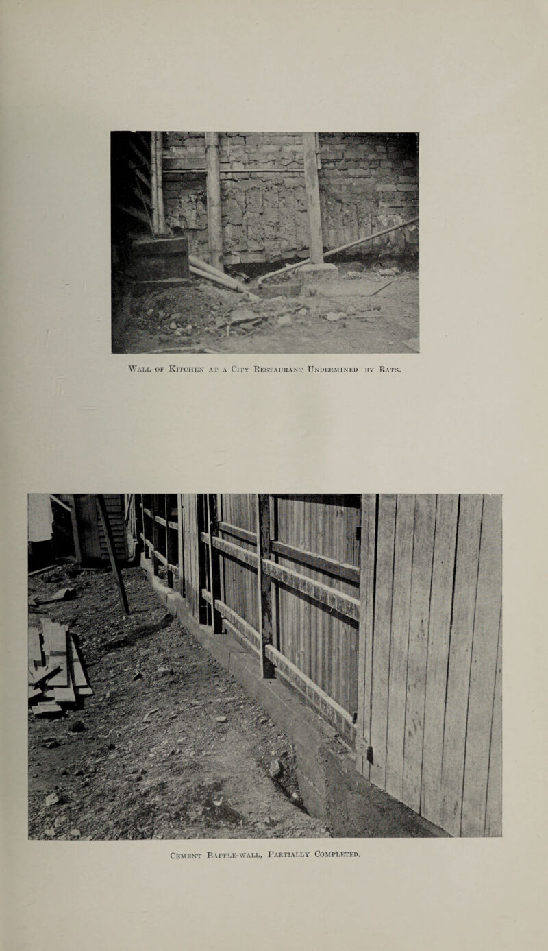 Wall op Kitchen at a City Restaurant Undermined by Rats. Cement Baffle-wall, Partially Completed,