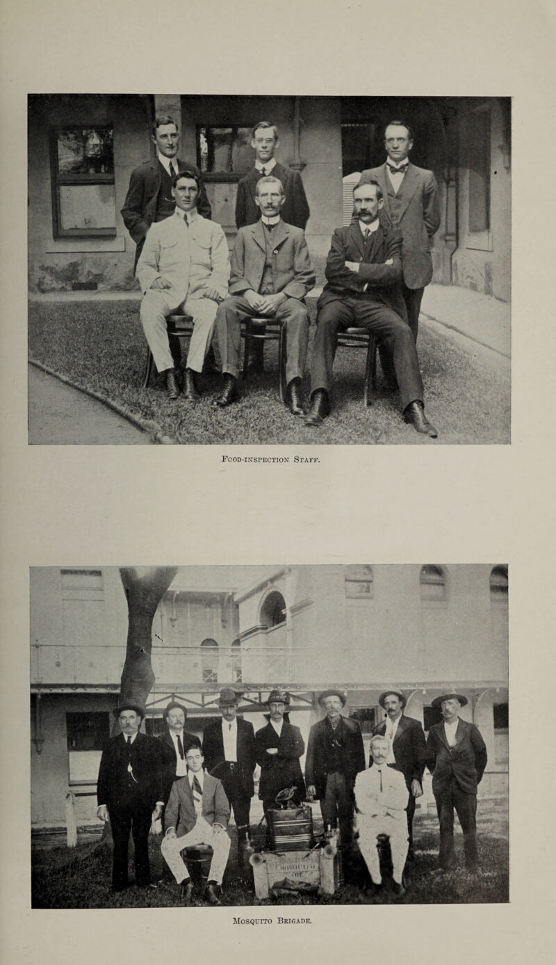 Food-inspection Staff. Mosquito Brigade,