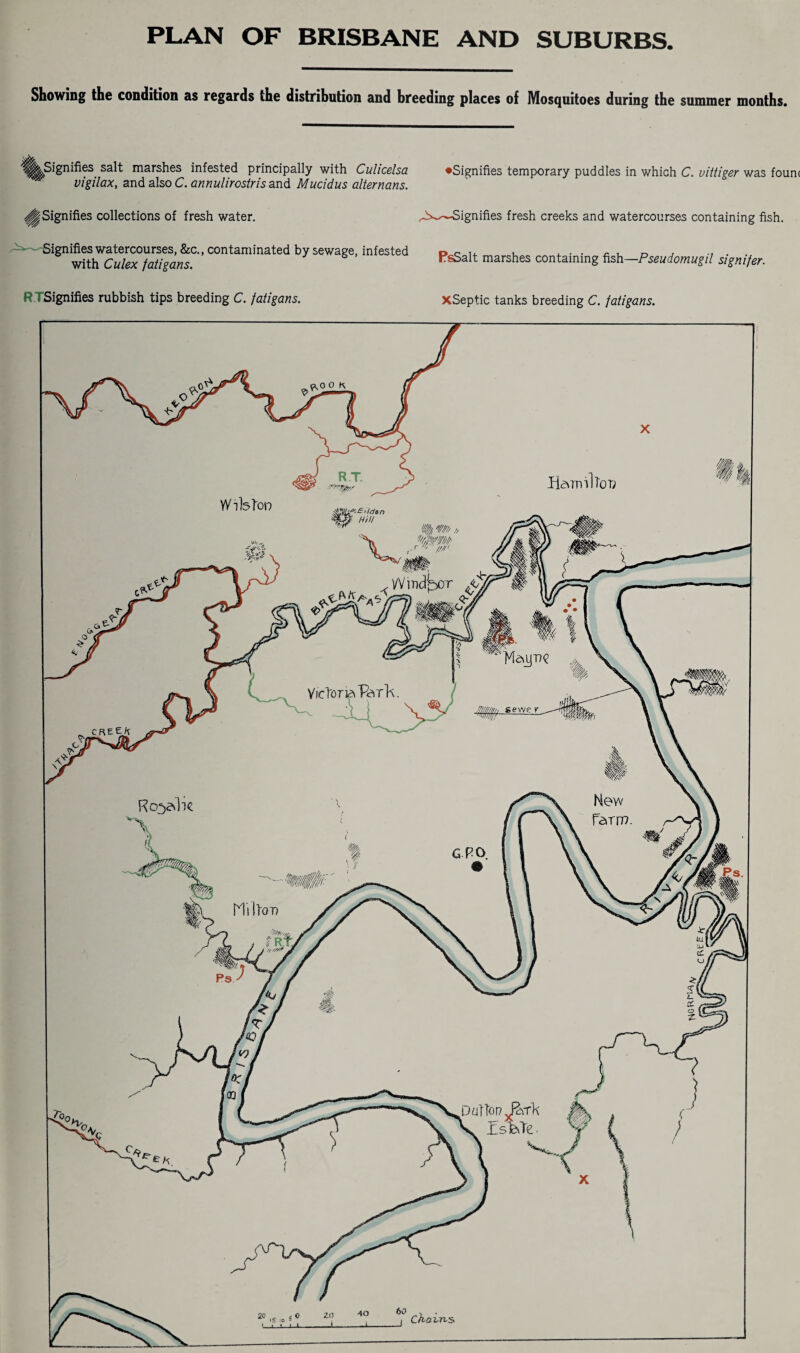 PLAN OF BRISBANE AND SUBURBS Showing the condition as regards the distribution and breeding places of Mosquitoes during the summer months. ^Signifies salt marshes infested principally with Culicelsa vigilax, and also C. annulirostris and Mucidus alternans. •Signifies temporary puddles in which C. uittiger was fount ^Signifies collections of fresh water. Signifies watercourses, &c., contaminated by sewage, infested with Culex fatigans. ^—Signifies fresh creeks and watercourses containing fish. PsSalt marshes containing fish—Pseudomugil signifer. R.TSignifies rubbish tips breeding C. fatigans. xSeptic tanks breeding C. fatigans. W i felon Victoria T&Tk sewe v Rco^be Pallor? jkrk ^ ZsfeTe.