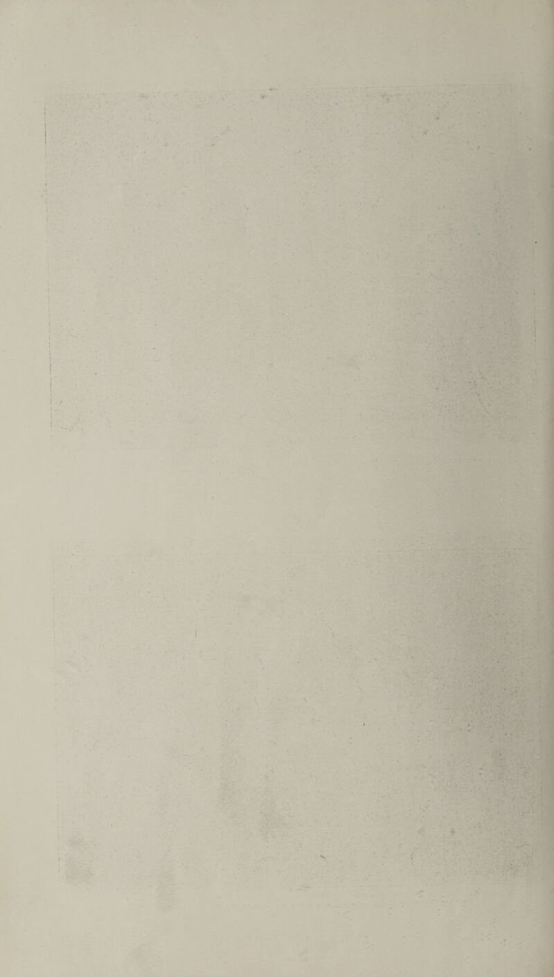 , - . . * • $ a ^hhh » i ’ s * , ! r I • ■ / ■• ■ • V ■ '• ■■ ./ ■ •