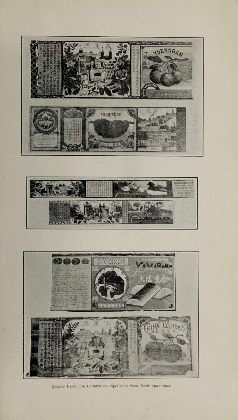 «0 « a **, * jt**■ «? It£ at ■& $t * *T A. ■k*M* i nil «$-!%«•■#. 3 it* n •$- & >* tfs w.'frt1] ♦o itrvti^.RH * ,i - '* u % st '■?- * *> ?-«. £ * »* < M & * * > >i ^■■- -- ‘I ** ***■ -X fit <f * S ^HEUNS KWONG YliSN rsii«e s»* stsfEX c««?» \M>tlNK INTO. HONG KONG. CHiNfii Quaint Labelling Conditions—Specimens from North Queensland.