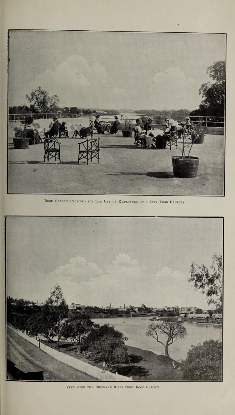 Roof Garden Provided for the Use of Employees at a City Food Factory. View over the Brisbane River from Roof Garden.
