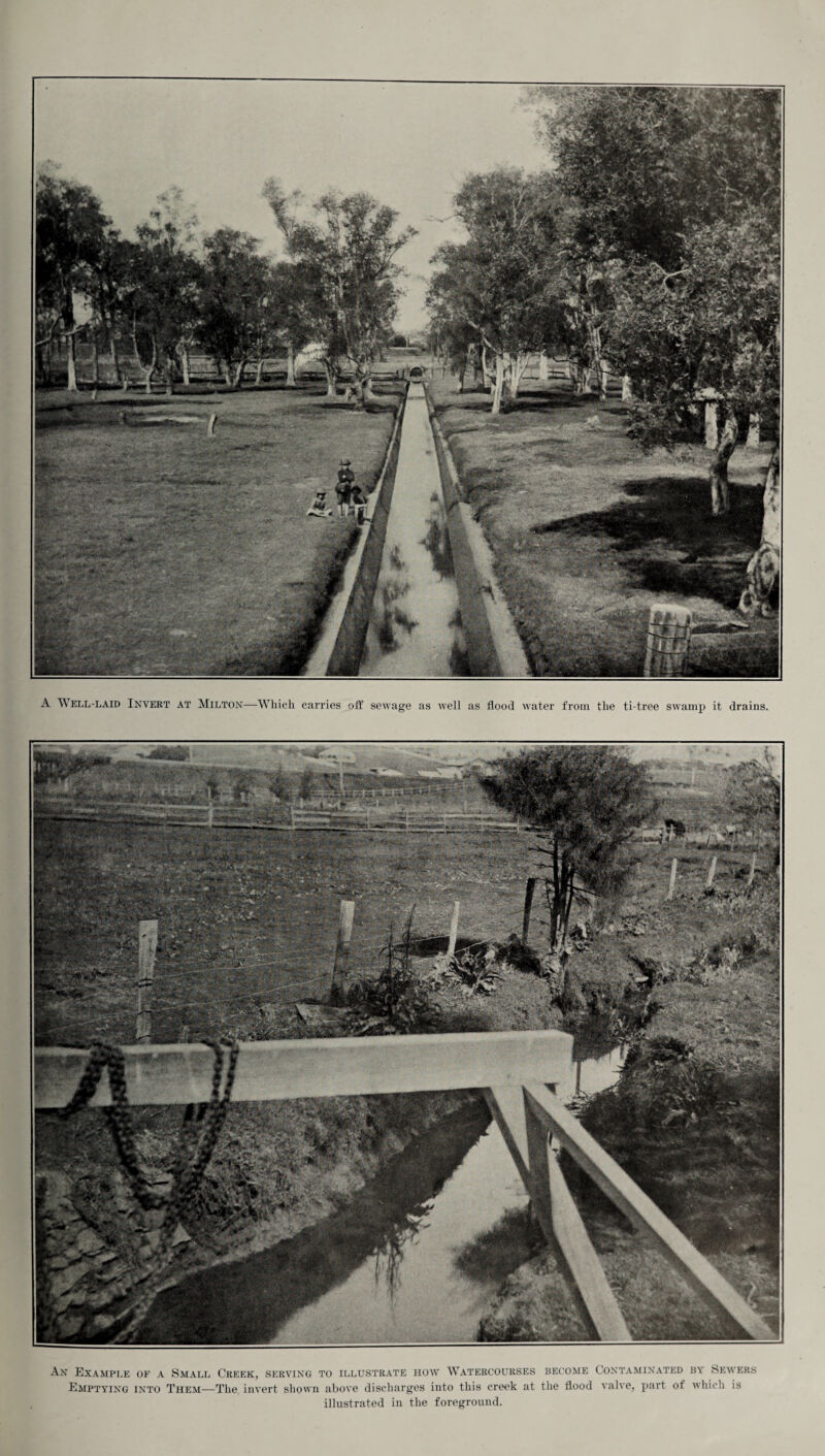 A Well-laid Invert at Milton—Which carries off sewage as well as flood water from the ti-tree swamp it drains. sfMgyifP An Example of a Small Creek, serving to illustrate how Watercourses become Contaminated by Sewers Emptying into Them—The invert shown above discharges into this creek at the flood valve, part of which is illustrated in the foreground.