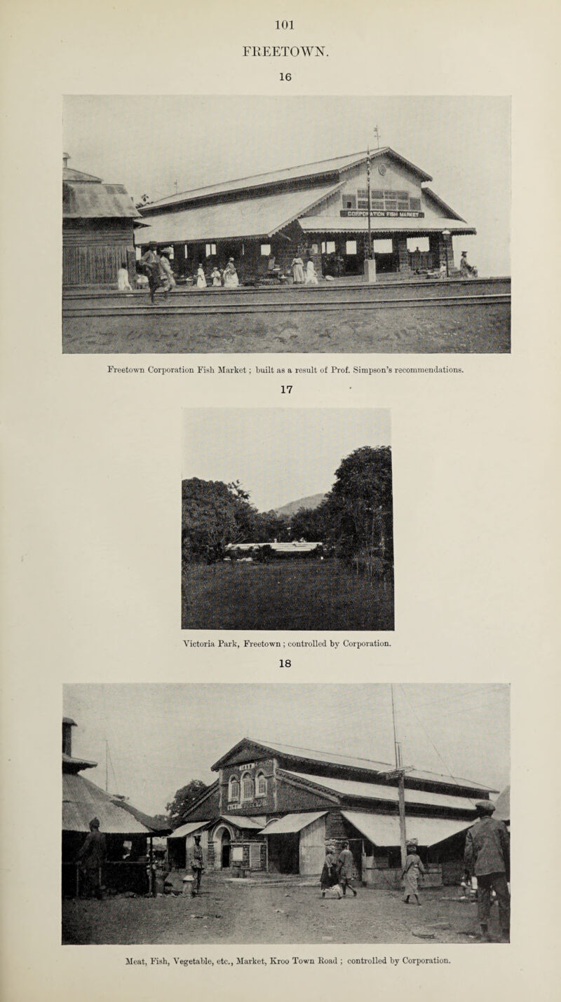 101 FREETOWN. 16 Freetown Corporation Fish Market; built as a result of Prof. Simpson’s recommendations. 17 Victoria Park, Freetown ; controlled by Corporation. 18 Meat, Fish, Vegetable, etc., Market, Kroo Town Road ; controlled by Corporation.