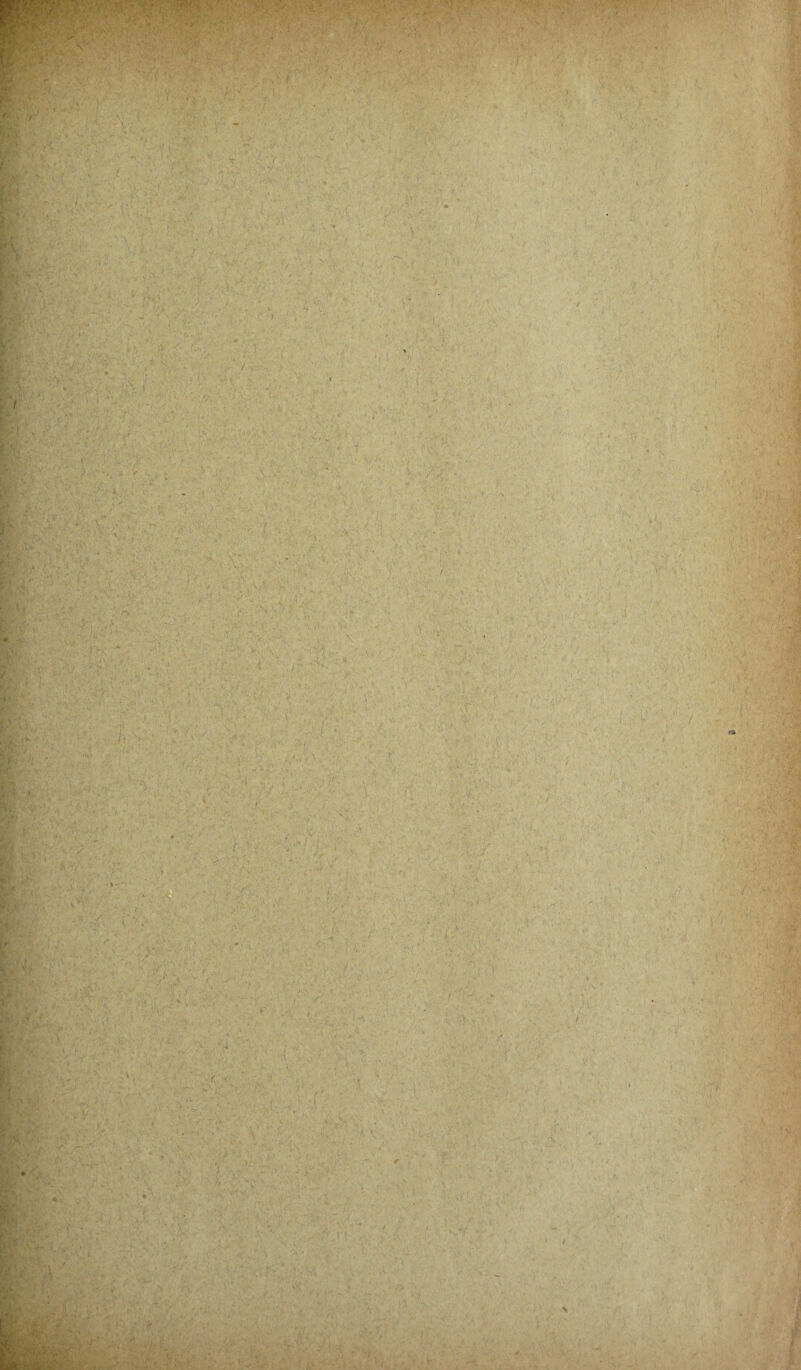 * ‘T/ ■ ■. ■£. ■ «'; ■