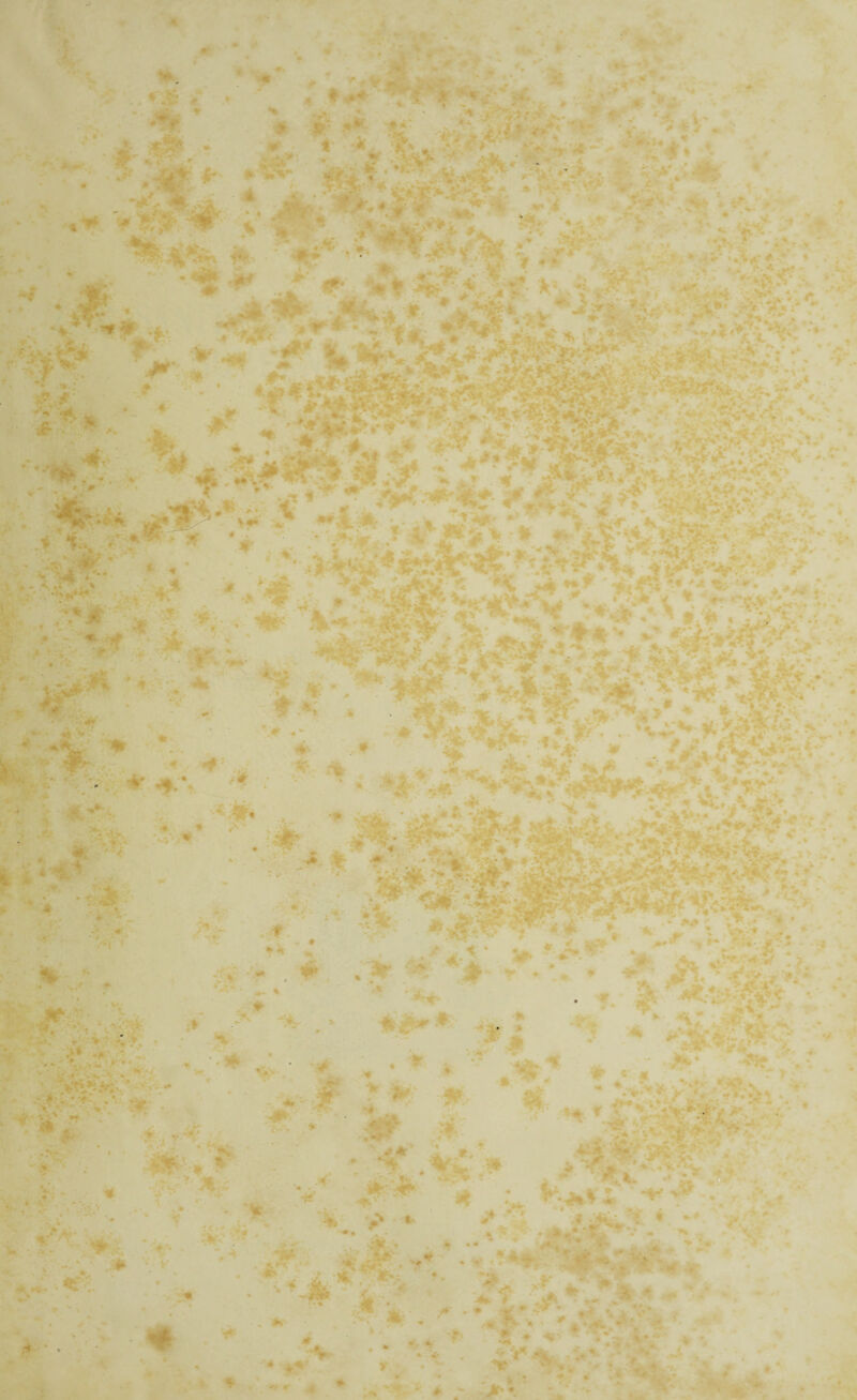 * * : 4 . ■ . • .1. ” .. I - , ■ . ' ■%* % f *' j—r t-J* . - ? M - *>« . % » • ♦ .*• ’ ... * „ r , a » i  •*■*.. * f -w ^ wT7 YV > * * ' ,4 /** * * « *• ;-v .'^r>-v.f- • .a. • * • * • . . f' * • * ;< * • • , •, *. • T . : .'r ••• ;• rig • * -