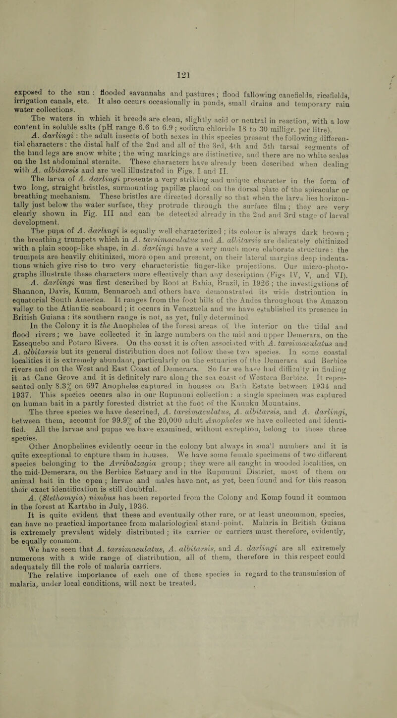 exposed to the sun : flooded savannahs and pastures ; flood fallowing canefields, ricefields, irrigation canals, etc. It also occurs occasionally in ponds, small drains and temporary rain water collections. The waters in which it breeds are clean, slightly acid or neutral in reaction, with a low content in soluble salts (pH range 6.6 to 6.9 ; sodium chloride IS to 30 milligr. per litre). A., darlingi . the adult insects of both sexes in this species present the following differen¬ tial characters : the distal half of the 2nd and all of the 3rd, 4th and 5th tarsal segments of the hind legs are snow white ; the wing markings are distinctive, and there are no white scales on the 1st abdominal sternite. These characters hare already been described when dealino- with A. albitarsis and are well illustrated in Figs. I and II. The larva of A. darlingi presents a very striking aud unique character in the form of two long, straight bristles, surmounting papillae placed on the dorsal plate of the spiracular or breathing mechanism. These bristles are directed dorsally so that when the larva lies horizon¬ tally just below the water surface, they protrude through the surface film ; they are very clearly shown in Fig. Ill and can be detected already in the 2nd and 3rd stage of larval development. The pupa of A. darlingi is equally well characterized ; its colour is always dark brown ; the breathing trumpets which in A. tarsimaculatus and A. albitarsis are delicately chitinized with a plain scoop-like shape, in A. darlingi have a very much more elaborate structure : the trumpets are heavily chitinized, more open and present, on their lateral margins deep indenta¬ tions which give rise to two very characteristic finger-like projections. Our micro-photo¬ graphs illustrate these characters more effectively than any description (Figs IV, V, and VI). A. darlingi was first described by Root at Bahia, Brazil, in 1926 ; the investigations of Shannon, Davis, Kumm, Bennaroch and others have demonstrated its wide distribution in equatorial South America. It ranges from the foot hills of the Andes throughout the Amazon valley to the Atlantic seaboard ; it occurs in Venezuela aud we have established its presence in British Guiana : its southern range is not, as yet, fully determined In the Colony it is the Anopheles of the forest areas of the interior on the tidal and flood rivers; we have collected it in large numbers on the mid and upper Demerara, on the Essequebo and Potaro Rivers. On the coast it is often associated with A. tarsimaculatus and A. albitarsis but its general distribution does not follow these two species. In some coastal localities it is extremely abundant, particularly on the estuaries of the Demerara aud Berbice rivers and on the West and East Coast of Demerara. So far we have had difficulty in finding it at Cane Grove and it is definitely rare along the sea coast of Western Berbice. It repre¬ sented only 8.3^ on 697 Auopheles captured in houses on Bath Estate between 1934 and 1937. This species occurs also in our Rupununi collection : a single specimen was captured on human bait in a partly forested district at the foot of the Kanuku Mountains. The three species we have descrioed, A. tarsimaculatus, A. albitarsis, and A. darlingi, between them, account for 99.9°/0 of the 20,000 adult -Anopheles we have collected and identi¬ fied. All the larvae and pupae we have examined, without exception, belong to these three species. Other Anophelines evidently occur in the colony but always in sma'l numbers and it is quite exceptional to capture them in houses. We have some female specimens of two different species belonging to the Arribalzagia group; they were all caught in wooded localities, on the mid-Demerara, on the Berbice Estuary and in the Rupununi District, most of them ou animal bait in the open ; larvae and males have not, as yet, been found and for this reason their exact identification is still doubtful. A. (Stethomyia) nimbus has been reported from the Colony and Komp found it common in the forest at Kartabo in July, 1936. It is quite evident that these and eventually other rare, or at least uncommon, species, can have no practical importance from malariological stand-point. Malaria in British Guiana is extremely prevalent widely distributed ; its carrier or carriers must therefore, evidently, be equally common. We have seen that A. tarsimaculatus, A. albitarsis, and A. darlingi are all extremely numerous with a wide raDge of distribution, all of them, therefore in this respect could adequately fill the role of malaria carriers. The relative importance of each one of these species in regard to the transmission of malaria, under local conditions, will next be treated.