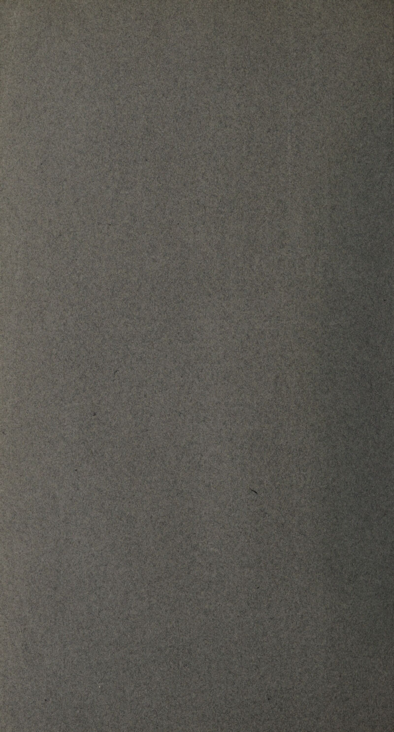 u v • » yj * •> Sr*- '/'.' C V *•• > ;-V ■ ■