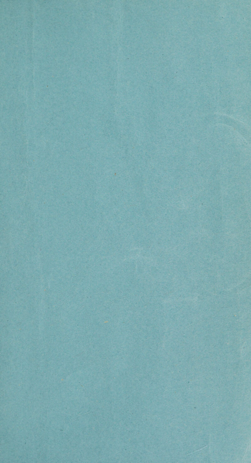 - * - . * ' r* ^ . v- *