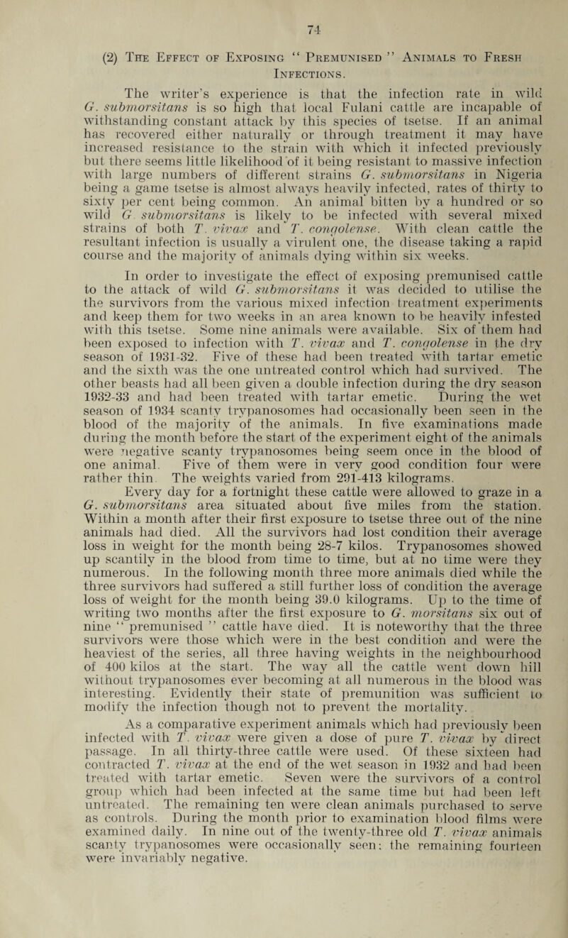 Infections. The writer’s experience is that the infection rate in wild G. submorsitans is so high that local Eulani cattle are incapable of withstanding constant attack by this species of tsetse. If an animal has recovered either naturally or through treatment it may have increased resistance to the strain with which it infected previously but there seems little likelihood of it being resistant to massive infection with large numbers of different strains G. submorsitans in Nigeria being a game tsetse is almost always heavily infected, rates of thirty to sixty per cent being common. An animal bitten by a hundred or so wild G submorsitans is likely to be infected with several mixed strains of both T vivax and T. congolense. With clean cattle the resultant infection is usually a virulent one, the disease taking a rapid course and the majority of animals dying within six weeks. In order to investigate the effect of exposing premunised cattle to the attack of wild G. submorsitans it was decided to utilise the the survivors from the various mixed infection treatment experiments and keep them for two weeks in an area known to be heavily infested with this tsetse. Some nine animals were available. Six of them had been exposed to infection with T. vivax and T. congolense in the dry season of 1931-32. Five of these had been treated with tartar emetic and the sixth was the one untreated control which had survived. The other beasts had all been given a double infection during the dry season 1932-33 and had been treated with tartar emetic. During the wet season of 1934 scanty trypanosomes had occasionally been seen in the blood of the majority of the animals. In five examinations made during the month before the start of the experiment eight of the animals were negative scanty trypanosomes being seem once in the blood of one animal. Five of them were in very good condition four were rather thin The weights varied from 291-413 kilograms. Every day for a fortnight these cattle were allowed to graze in a G. submorsitans area situated about five miles from the station. Within a month after their first exposure to tsetse three out of the nine animals had died. All the survivors had lost condition their average loss in weight for the month being 28-7 kilos. Trypanosomes showed up scantily in the blood from time to time, but at no time were they numerous. In the following month three more animals died while the three survivors had suffered a still further loss of condition the average loss of weight for the month being 39.0 kilograms. Up to the time of writing two months after the first exposure to G. morsitans six out of nine “ premunised ” cattle have died. It is noteworthy that the three survivors were those which were in the best condition and were the heaviest of the series, all three having weights in the neighbourhood of 400 kilos at the start. The way all the cattle went down hill without trypanosomes ever becoming at all numerous in the blood was interesting. Evidently their state of premunition was sufficient to modify the infection though not to prevent the mortality. As a comparative experiment animals which had previously been infected with T. vivax were given a dose of pure T. vivax by direct passage. In all thirty-three cattle were used. Of these sixteen had contracted T. vivax at the end of the wet season in 1932 and had been treated with tartar emetic. Seven were the survivors of a control group which had been infected at the same time but had been left untreated. The remaining ten were clean animals purchased to serve as controls. During the month prior to examination blood films were examined daily. In nine out of the twenty-three old T. vivax animals scanty trypanosomes were occasionally seen: the remaining fourteen were invariably negative.