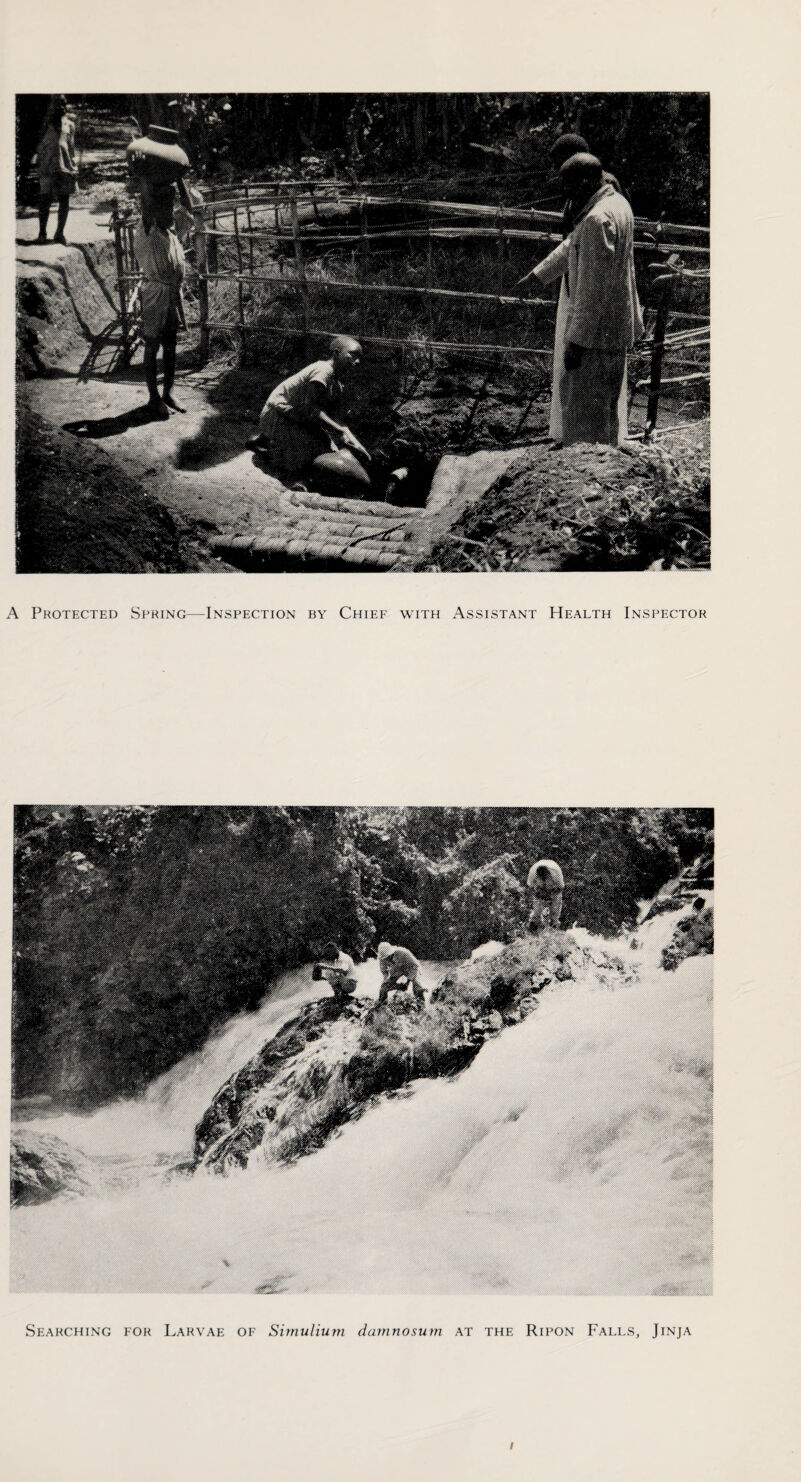 A Protected Spring—Inspection by Chief with Assistant Health Inspector Searching for Larvae of Simulium damnosum at the Ripon Falls, Jinja /