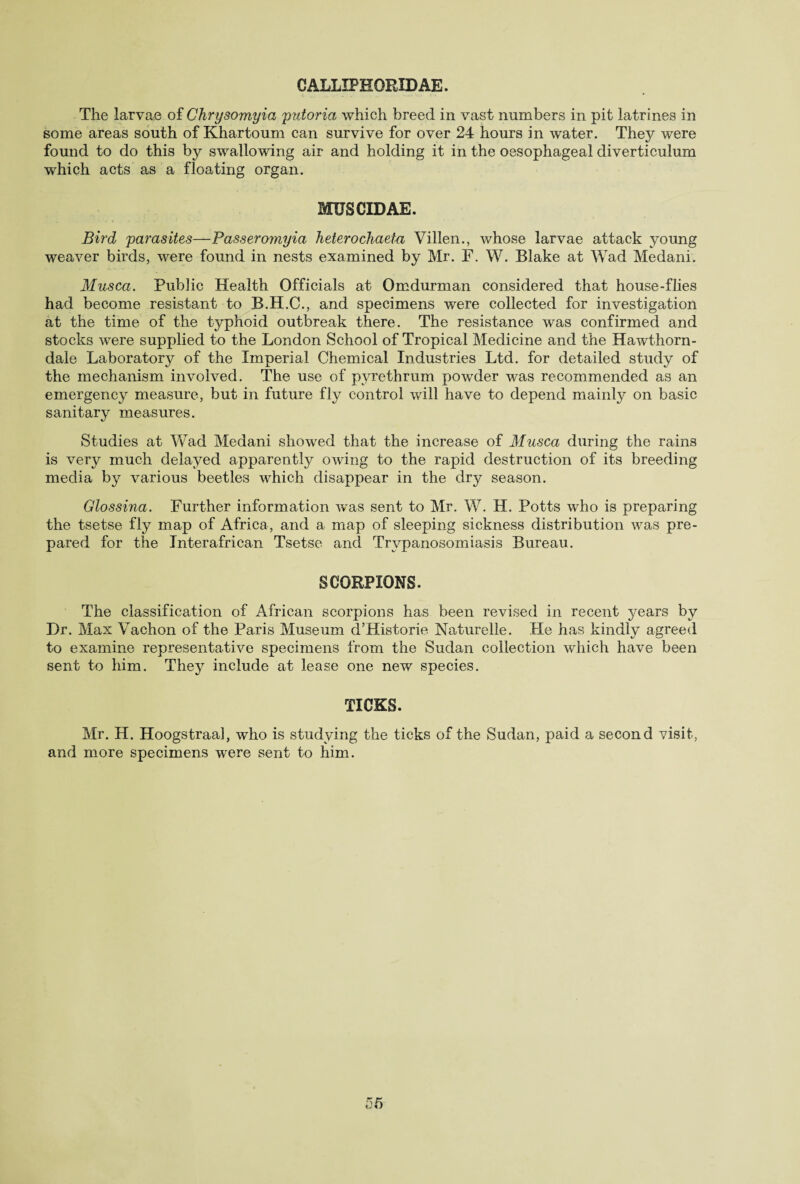 CALLIPHORIDAE. The larvae of Chrysomyia putoria which breed in vast numbers in pit latrines in some areas south of Khartoum can survive for over 24 hours in water. They were found to do this by swallowing air and holding it in the oesophageal diverticulum which acts as a floating organ. MUSCIDAE. Bird 'parasites—Passeromyia heterochaeta Villen., whose larvae attack young weaver birds, were found in nests examined by Mr. F. W. Blake at Wad Medani. Musca. Public Health Officials at Omdurman considered that house-flies had become resistant to B.H.C., and specimens were collected for investigation at the time of the typhoid outbreak there. The resistance was confirmed and stocks were supplied to the London School of Tropical Medicine and the Hawthorn- dale Laboratory of the Imperial Chemical Industries Ltd. for detailed study of the mechanism involved. The use of pyrethrum powder was recommended as an emergency measure, but in future fly control will have to depend mainly on basic sanitary measures. Studies at Wad Medani showed that the increase of Musca during the rains is very much delayed apparently owing to the rapid destruction of its breeding media by various beetles which disappear in the dry season. Glossina. Further information was sent to Mr. W. H. Potts who is preparing the tsetse fly map of Africa, and a map of sleeping sickness distribution was pre¬ pared for the Interafrican Tsetse and Trypanosomiasis Bureau. SCORPIONS. The classification of African scorpions has been revised in recent years by Dr. Max Vachon of the Paris Museum d’Historie Naturelle. He has kindly agreed to examine representative specimens from the Sudan collection which have been sent to him. They include at lease one new species. TICKS. Mr. H. Hoogstraal, who is studying the ticks of the Sudan, paid a second visit, and more specimens were sent to him.