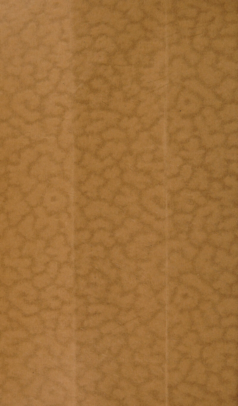 n\ft' . ;3; ; !' ' •• W ■ Igr.; ■ , ■ ' ^ ; ' ;:;v ■- . ' ’ • -C; .'•!&' • - • .. ‘ • . • ■ mwm 1 -V5,' |5 & Hp .m ) V>; 'H&r \ ;■ V • -v .i ; : -, ■ '’/ ‘ '. L- ■' ‘ • -A1 .'■' ,' ’ ■ .' VriK .'{A■ ■: <w ■ ■: . :,- • . , ...• «S- - j..-'.‘t : (V,1A :''.J ■';■■' . ,. ' A. A!..,' , i /V V-' ' .'{ .’■ 1 -: . ..... .. ■ ■ . ■ • v. ■ . y?: •  ;:<1 ■ ■ $ ‘ V:  4'^ ■ ,^v H ' r .m • - :<■. ■> .. ■ V  ■ .' '.'■/ ' . v *■' A I , '. ' . r •' V ■■. :.vVmcU. . ti.A' : ,< . ViVs-V - ■ l’ -K ■• ri-. % , •*A *■ • ’ <L E3U •» , <• >-r > .•■51 ' : ■' iC; l -'1:-• ‘ - A. ■ii ■ m : -Ax-A?' m- :: sSk i&t' ' > it ■ ^.;V mIBIB .: ■■ ;■'■ v-:' a.^a'A'' . i : . #k ■ -% > »•> , ♦/ .. *'• w- Wm*1.?’:;' ■m. k-‘-:■ :v ■ , . ... , t&ifa-f’ :;•■■■; ’rr ;•• ■■••■■ '.JI1 , .... , ’ •'PNi*' vv; ; - f ^ -Mi Wh. ■ • ■ ■ ■** ■ . . w..; .■ • A ,c<< : • ■ ■ i&E&ri ->V-U ■ *.tV.. ■ i iX*'* Wp- ■■ 'm® ^ ;,v }r’»• , • v yv&%‘' ■ \ •’■ • ! •'■• • < Vi'ti • ; . .sfe; •-•■• ■' ■' !‘’Vi• 4«i{: •Vjfij'.i .-♦ji • , : ;!p-: \ ■ 'r.-t- /'Ji.K.' ■•.’■ , y.'J -S' ■ . .. ;.V'‘ Ipw4 .y,> .4«l'c ^ 4^: ,* . V- 1 :;rVt-' • ^ <#>■ ■ v, ••• : ? . ; '•>• • .,/'; •.'. ■ ': :>.£*■ i UyA.'- ■ ' '.■I? * « riV’w - , • :V <» • « y'j ■ mi . /.IV-i • ■ ' ‘ >.•' ■