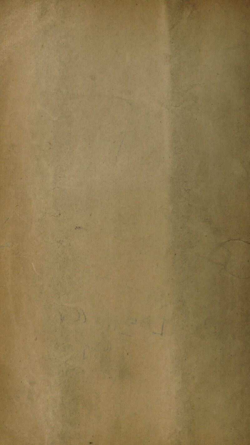 ' . . . * ' '' ' ■ 'i % ' V •V -<v • ■ v : > : v <£ . V ■ v. iW mt . * ?:. £&. • v, • ;>* “ /.* • .  s. • ! / ■ /. - T.-Jy ■ v : ' ' • 5. ... ’■ ' ® *$2, ' .  ■ f V ‘ *v l •' X-:. - V ■ H ski V -r / '■ ... \» **•' -■ . . T--: - ■ . i miM ' j . ;• , ' , ' ■ ■* V ... ..... % .. sr - / . . * ' * v*' /* <■ a • '*. ■ ••I 1 K ' . iH|F § !v*3_ * Li • V* *£*a ■ stem \