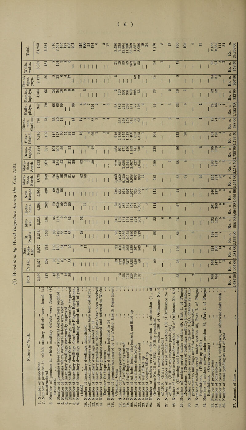 (1) Work done by Ward Inspectors during the Year 1923.