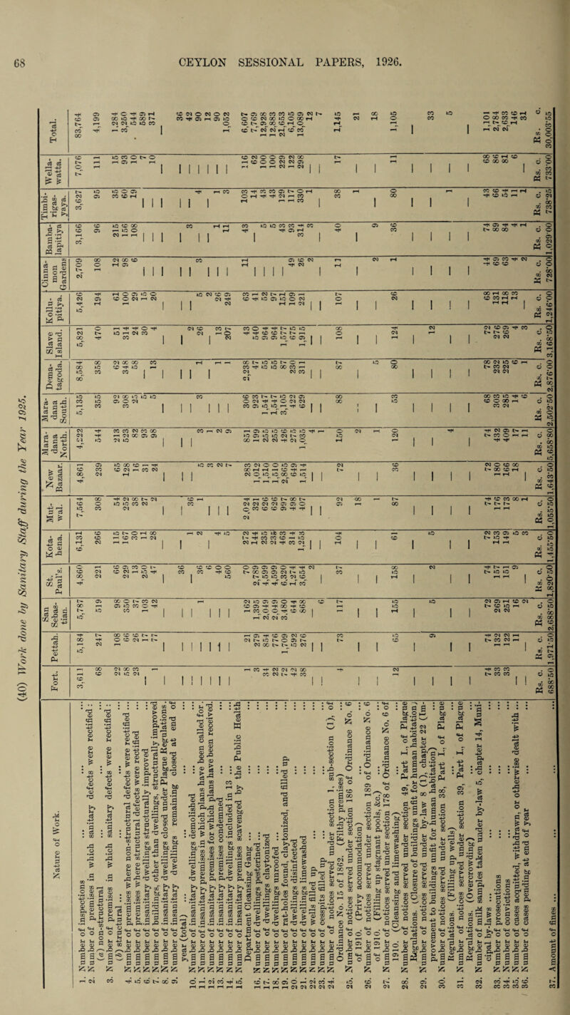 (40) Work done by Sanitary Staff during the Year 1925.