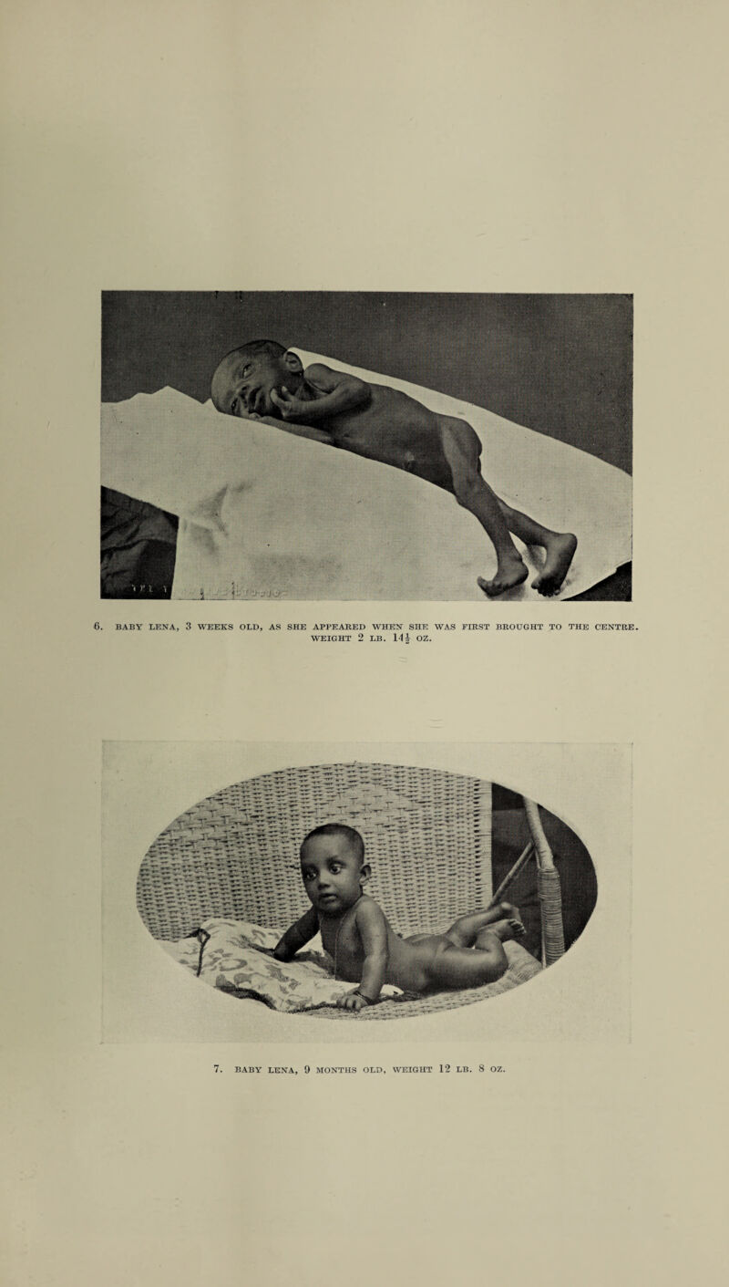 BABY LENA, 3 WEEKS OLD, AS SHE APPEARED WHEN SHE WAS FIRST BROUGHT TO THE CENTRE. WEIGHT 2 LB. 1-1 i- OZ.