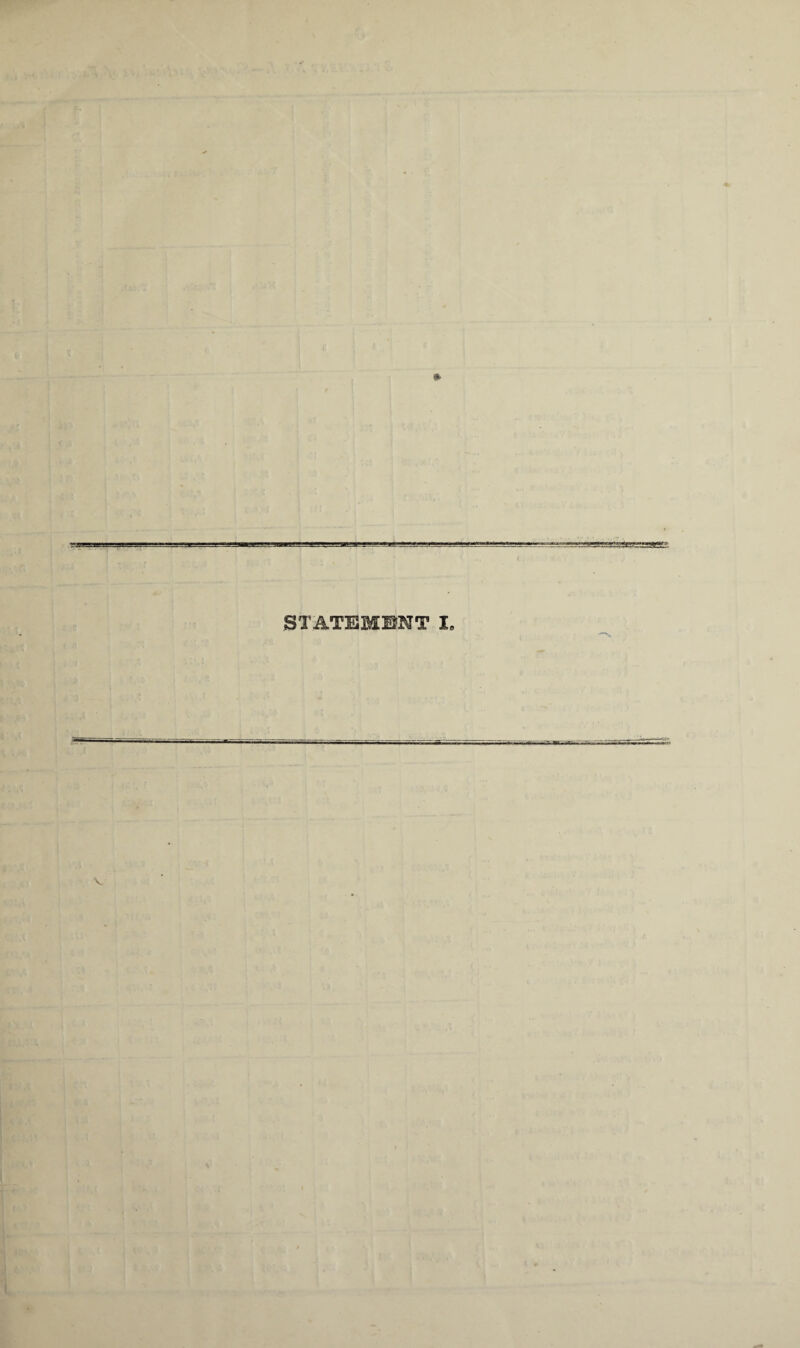.•••, STATEMENT I9 i