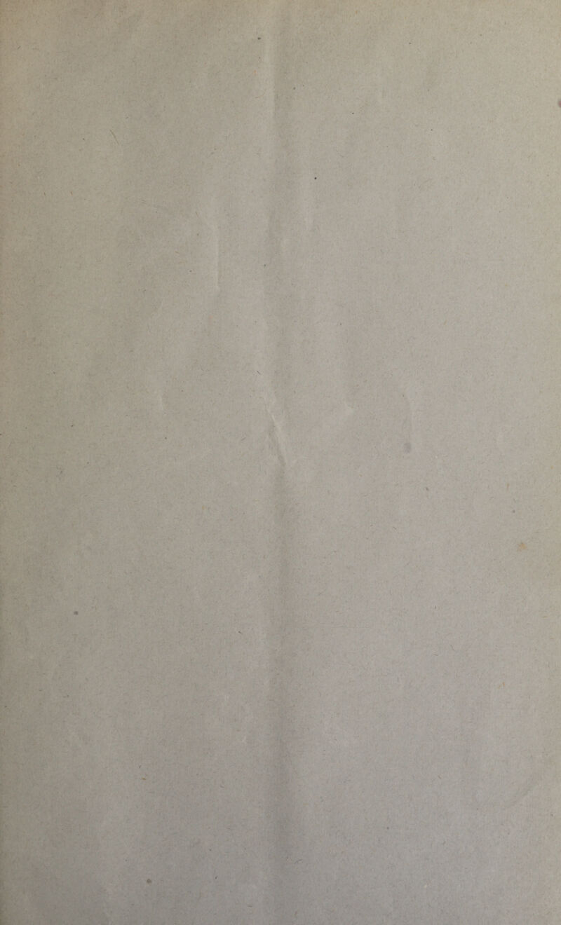 / /• /  ■ ■ if- I . A •v -• V : 4 t ' f-