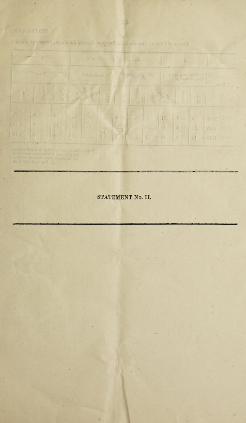 s STATEMENT No. II. I *