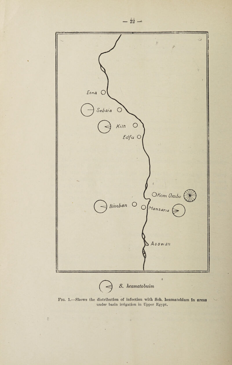 Fig. 1.—Shows the distribution of infection with Sch. heamatobium In areas under basin irrigation in Upper Egypt.