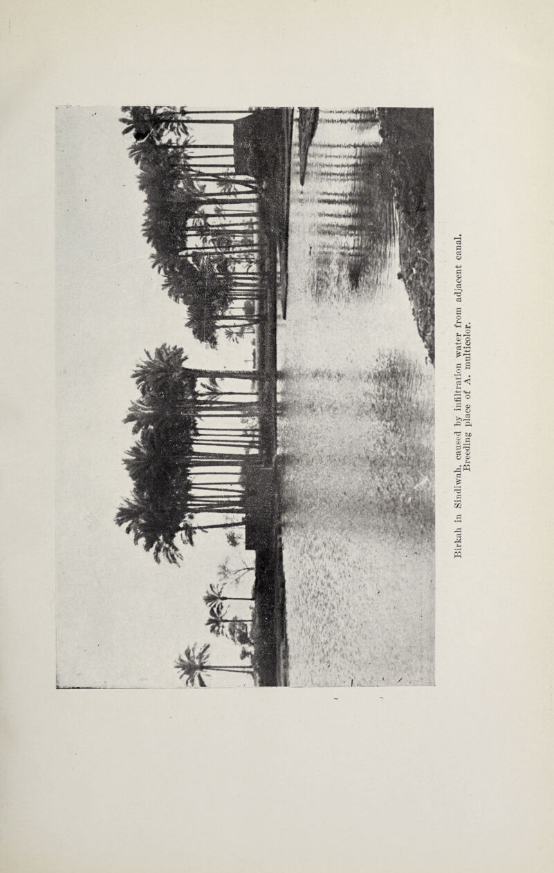 ^4s#Ms»-«8«»#s4fa '1 5 ' ': ^m^rnMm mmtmmmmm :>>> » 11 .. J888»SS«(SS^^ ' Xv WjWW)BMgga