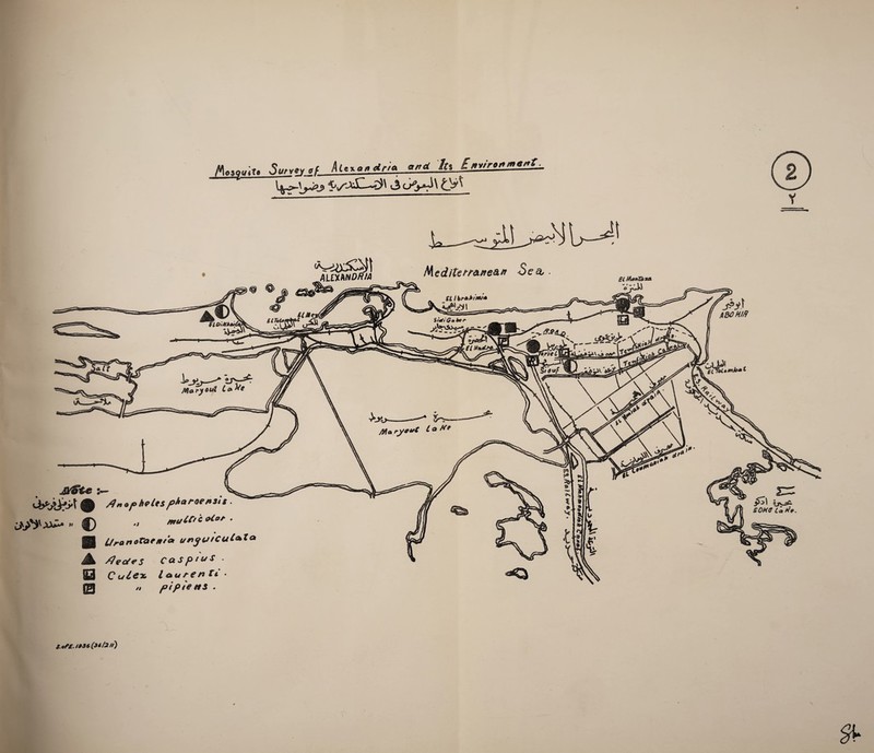 Mei0UiU Surv'v of *»*JtjJ* ^ K,yj£^\ .3 oyi\ tyfi .L—^J Ulbraktm/a **&<•< ein*d£*. wr/ei Mary out ALlMNDftM Med/teff&fre&# Se& • Si Maria sa J?$\ ABOH/ft *Wi mk»* hr<^r BOKO La He JV&te > OyyJfj»\ m w’J'AW.. f) /?„opheUspA*™e»sts. ffnj CCt c &£°*' • UrortoTaen/a i/njuiCut&t dectes C & S f> 1 & $ • Cule* l&urenfi • „ pip teas . S.of£. I936(3t/2li)