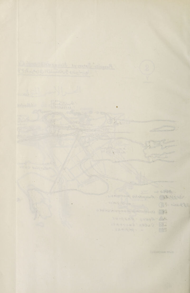 • / * A . ' ' ' . * •- * ' ‘  \ ; •. * * , ■ . -n Jt « ■ ‘ -J; . f > ; . . t ; .  A. .- - • • .{S ' ■■ ■ ■ i jftyJ ' ' ' • * - '>lV* • ■Ami ...