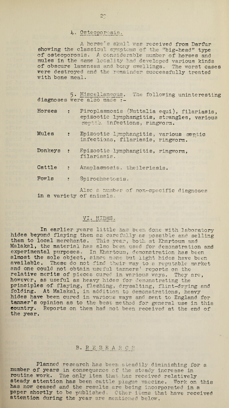 ip r\ If. Osteoporosis A horse’s skull was received from Darfur showing the classical symptoms of the !rbig-head'r type of osteoporosis, A considerable number of horses and mules in the same locality had developed various kinds of obscure lameness and. bony swellings. The worst cases were destroyed and the remainder successfully treated with bone meal. 5 • ^sce 1 Ioncous „ The following uninteresting diagnoses were also mace * - Horses • » Piroplasmosis (Nuttalia equi), filariasis, epizootic lymphangitis, strangles, various septib- infections, ringworm. Mules • • Epizootic lymphangitis, various septic infections, filariasis, ringworm. Donkeys • Epizootic lymphangitis, ringworm, filariasis. Cattle * • Anaplasmosis, theileriasis. Fowl s * 0 3piro cha e to sis, in a variety Also a number of non-specific diagnoses of animals. VI, HIDES, In earlier years little has been done with laboratory hides beyond flaying them as carefully as possible and selling them to local merchants. This year, both at Khartoum and Malakal, the material has also been used for demonstration and experimental purposes. In Khartoum, demonstration has been almost the sole object, since none but light hides have been available. These do not find their way to a reputable market and one could not obtain useful tanners5 reports on the relative merits of pieces cured in various ways. They are, however, as useful as heavy hides for demonstrating the principles of flaying, fleshing, drysalting, flint-drying and folding. At Malakal, in addition to demonstrations, heavy hides have been cured in various ways and sent to England for tanner’s opinion as to the best method for general use In this country. Deports on them had not been received at the end of the year. B. R_E SEA R CJ Planned research has been steadily diminishing for a number of years in consequence of the steady increase in routine work. The only item that has received relatively steady attention has been cattle plague vaccine. Work on this has now ceased and the results are being incorporated in a paper shortly to be published, Other items that have received attention during the year are mentioned below.