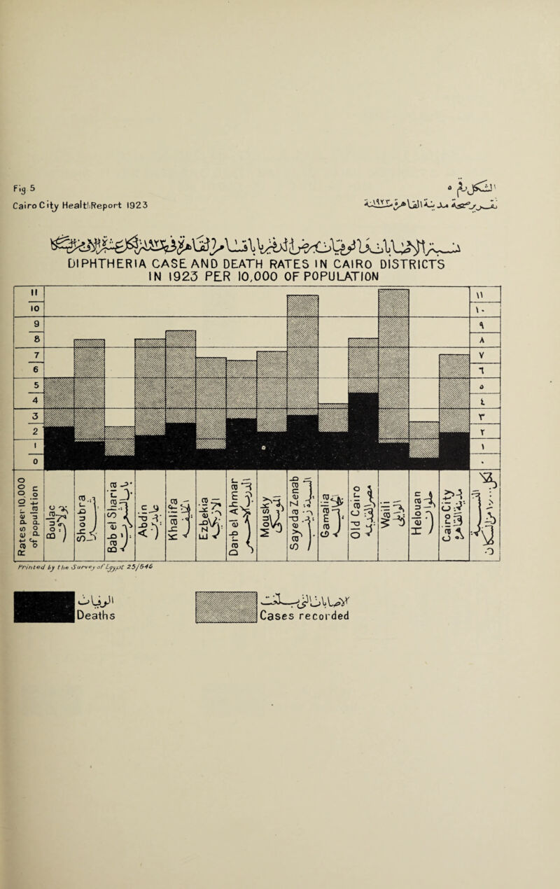 Pig 5 Cairo City HealtliReport 1923 V^S U^.'L^t/w-J DIPHTHERIA CASE AND DEATH RATES IN CAIRO DISTRICTS IN 1923 PER 10,000 OF POPULATION o O c O o 2 r_ JO 0) 3 a. a. to o a) Q- *■> <+- 05 O a: 3 O QQ CO- .E ~o J -O < nj  £ V •I? uj V -o — i\2 al <0 M 3 <0 S-t •Sffc 03 -3 E V ra 1 Old Cairo <£Xa)\/*2A Waili dtW' lelouan 2 J S' ■ c£> V x / CO / o ■£ §3 n? o ° Printed by the Survey of Egypt 25/546